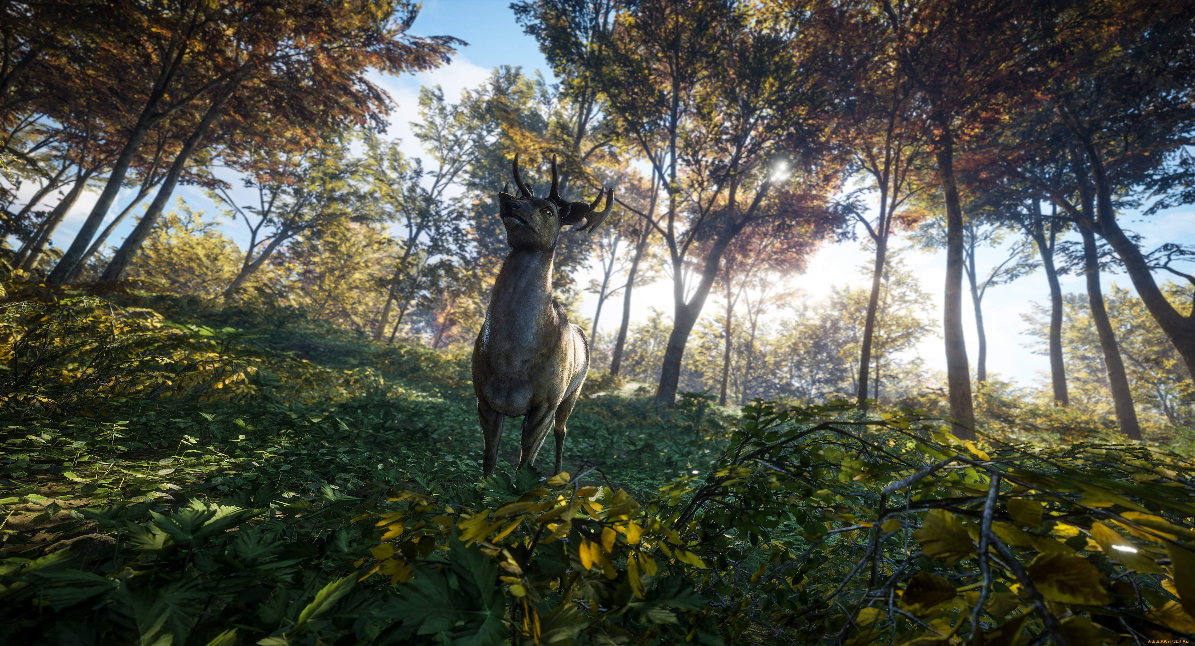 видео, игры, the, hunter, the, hunter