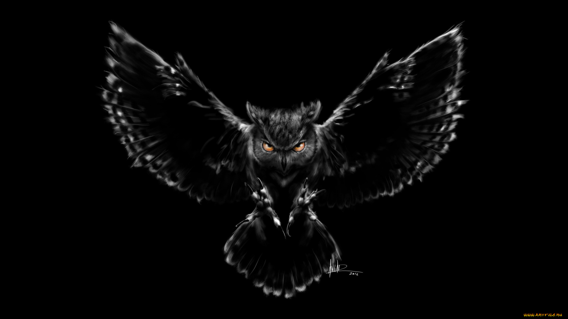 3д, графика, животные, , animals, графика, черный, фон, сова, креатив