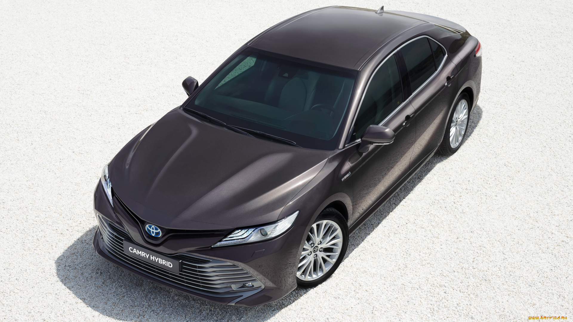 автомобили, toyota