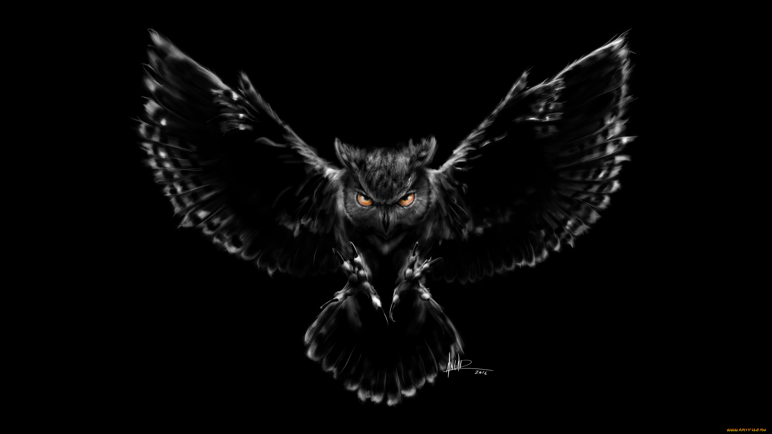 3д, графика, животные, , animals, графика, черный, фон, сова, креатив