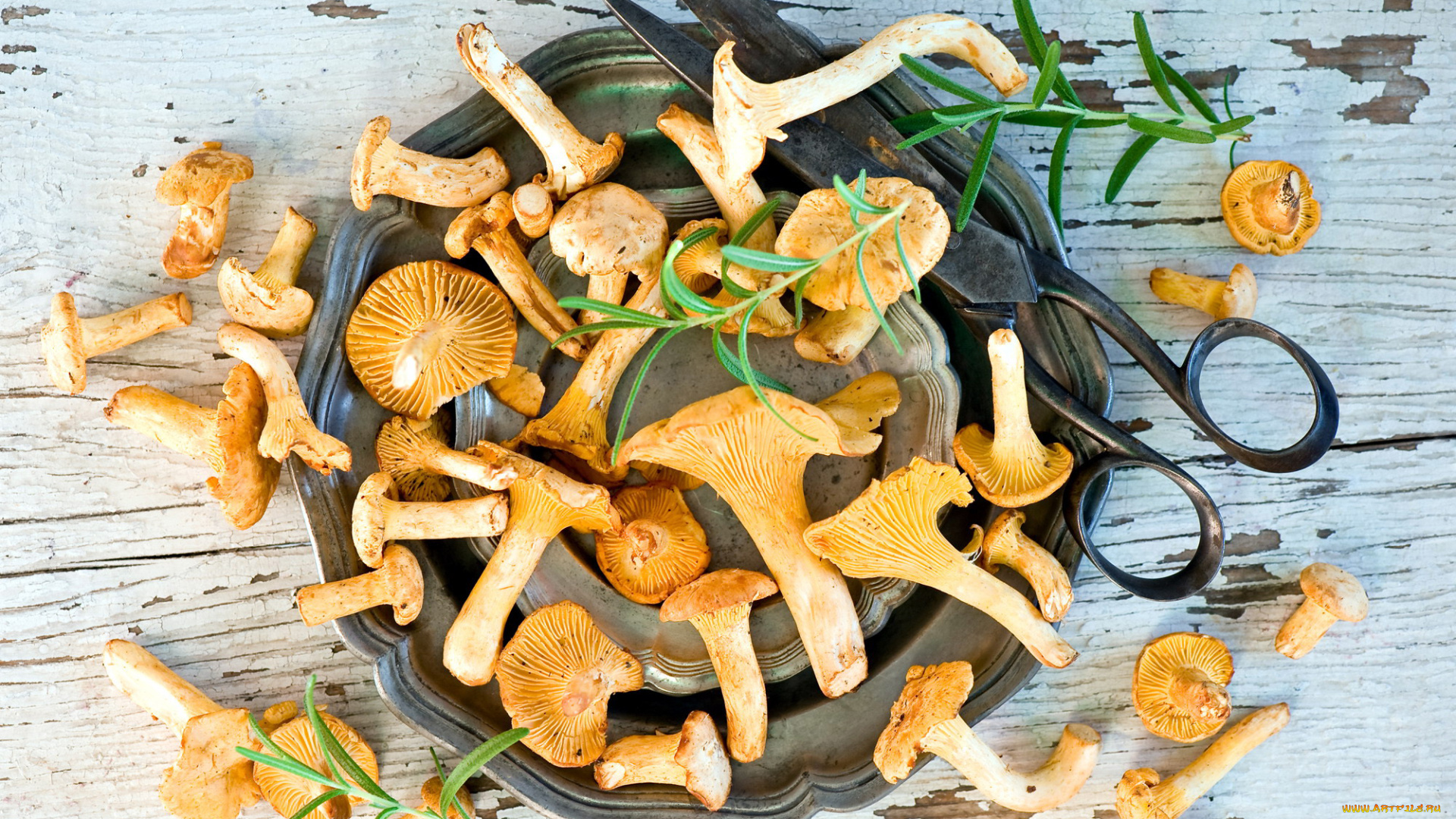 еда, грибы, , грибные, блюда, лисички