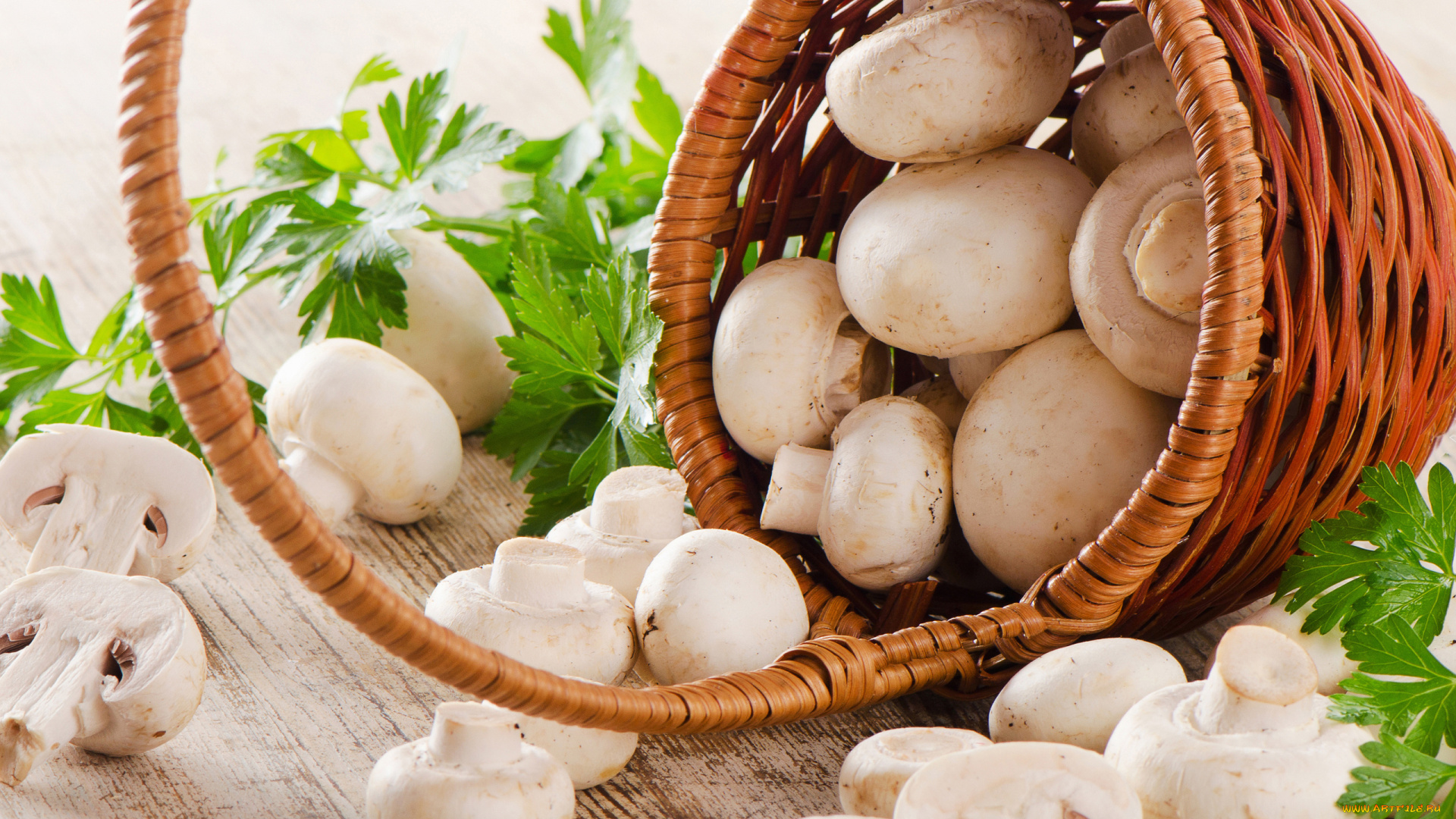 еда, грибы, , грибные, блюда, шампиньоны