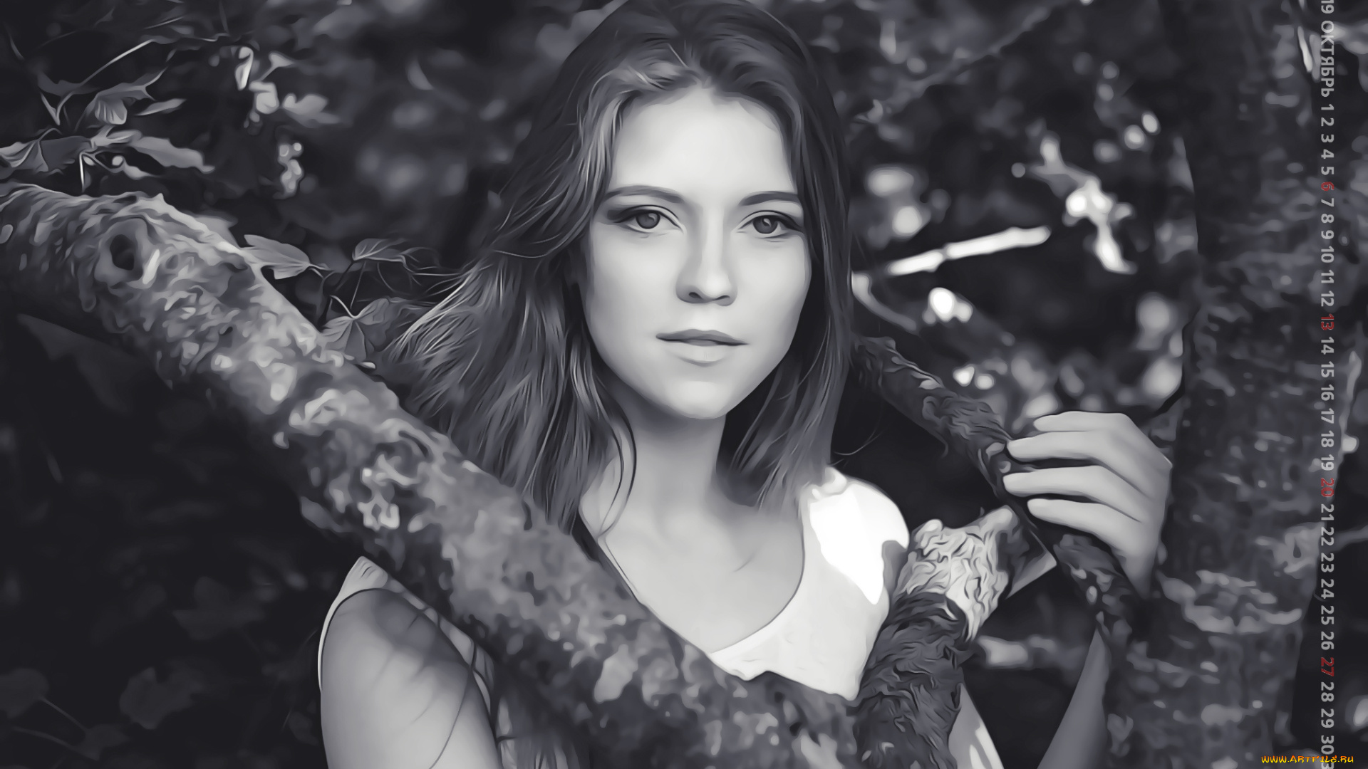 календари, компьютерный, дизайн, девушка, взгляд, женщина, calendar, 2019, дерево