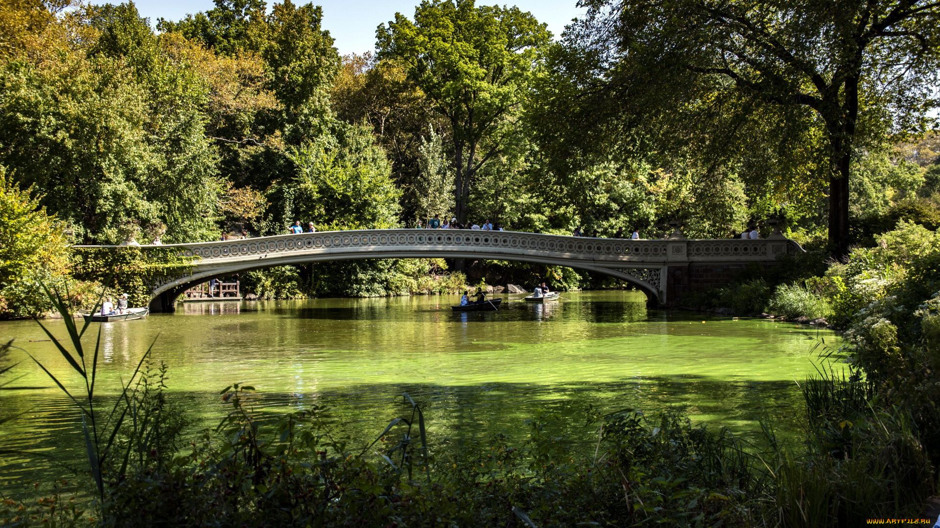 природа, парк, мостик, водоем