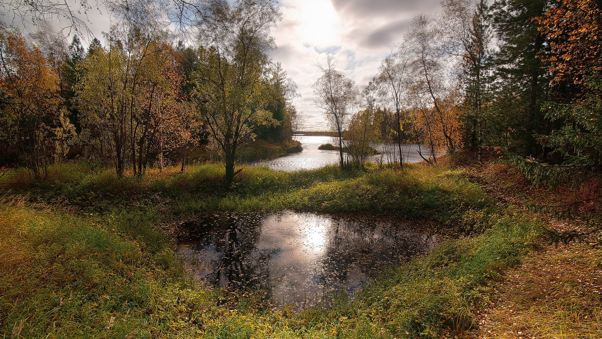 природа, реки, озера, простор