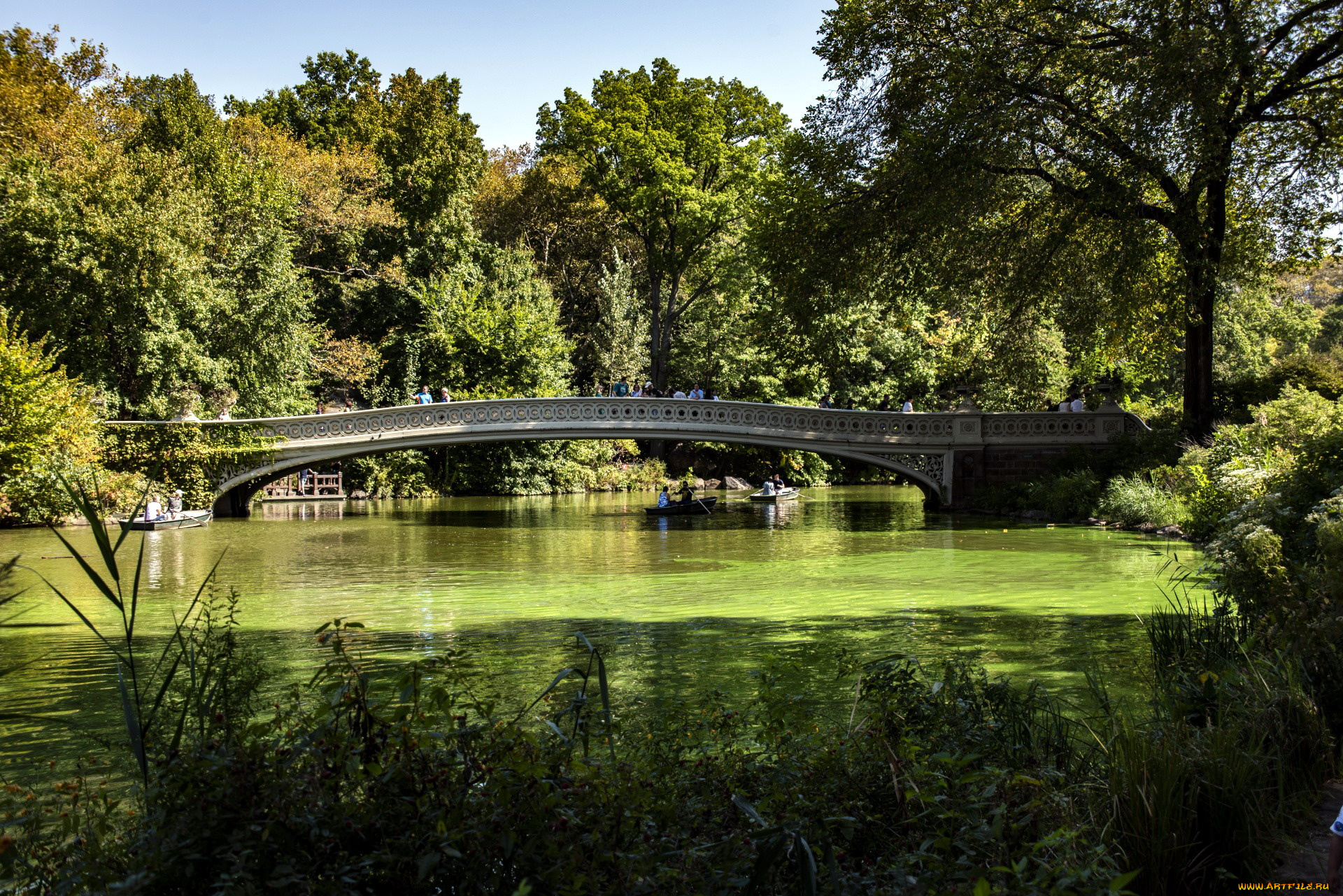 природа, парк, мостик, водоем