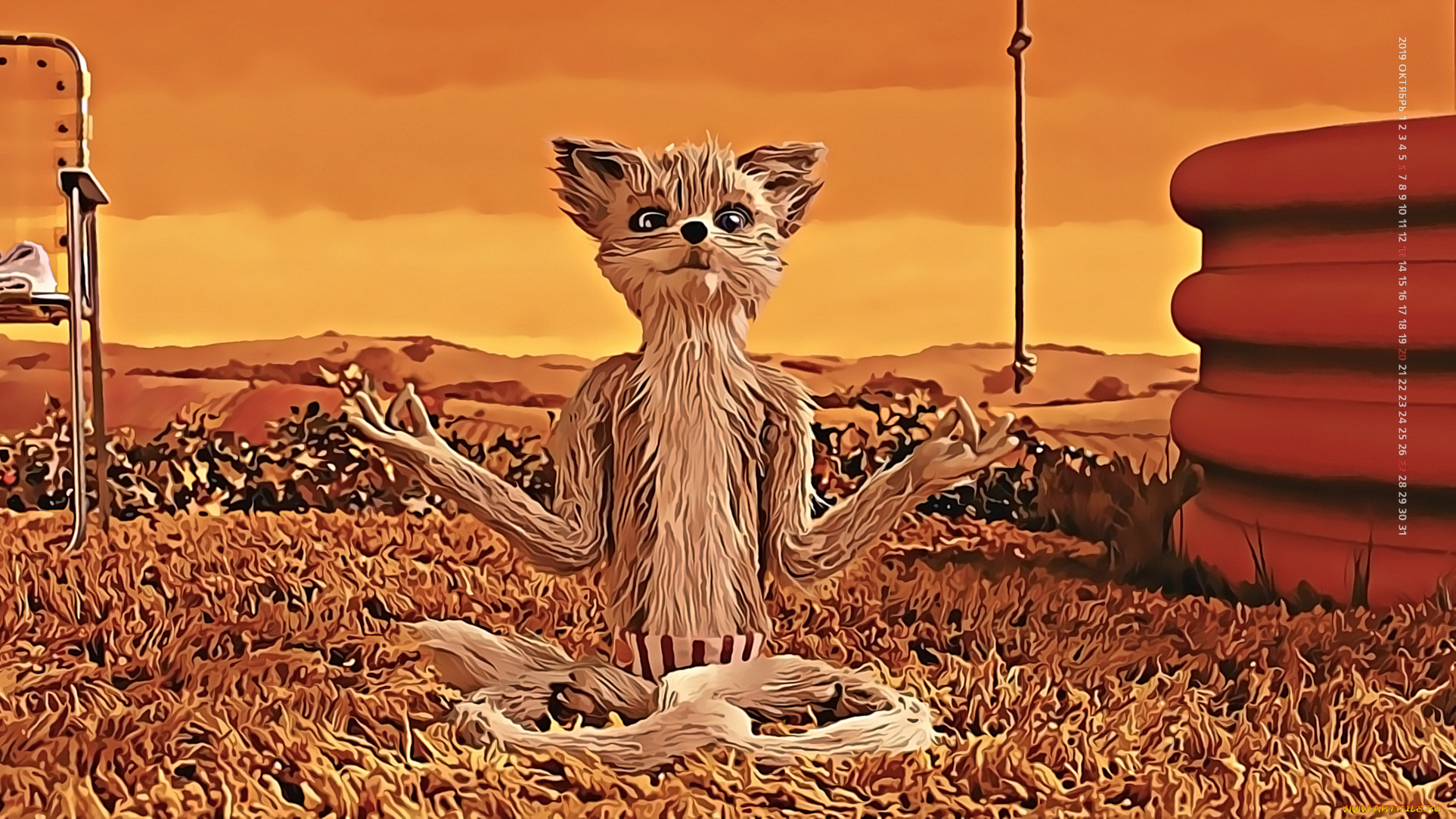 календари, кино, , мультфильмы, медитация, йога, трава, 2019, лис, поза, природа, calendar