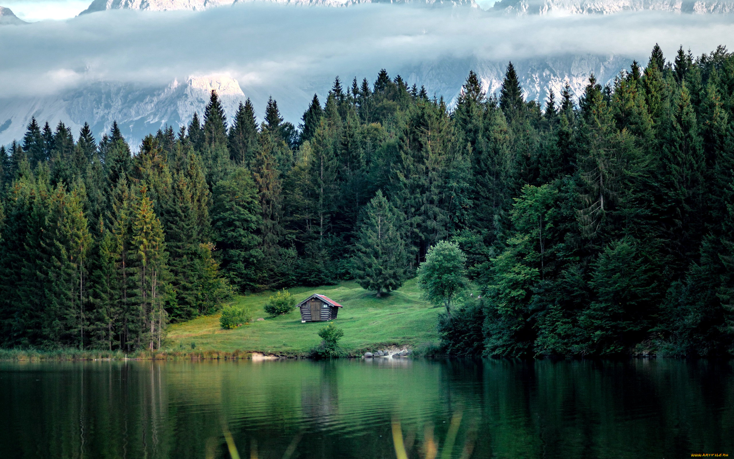 природа, реки, озера, река