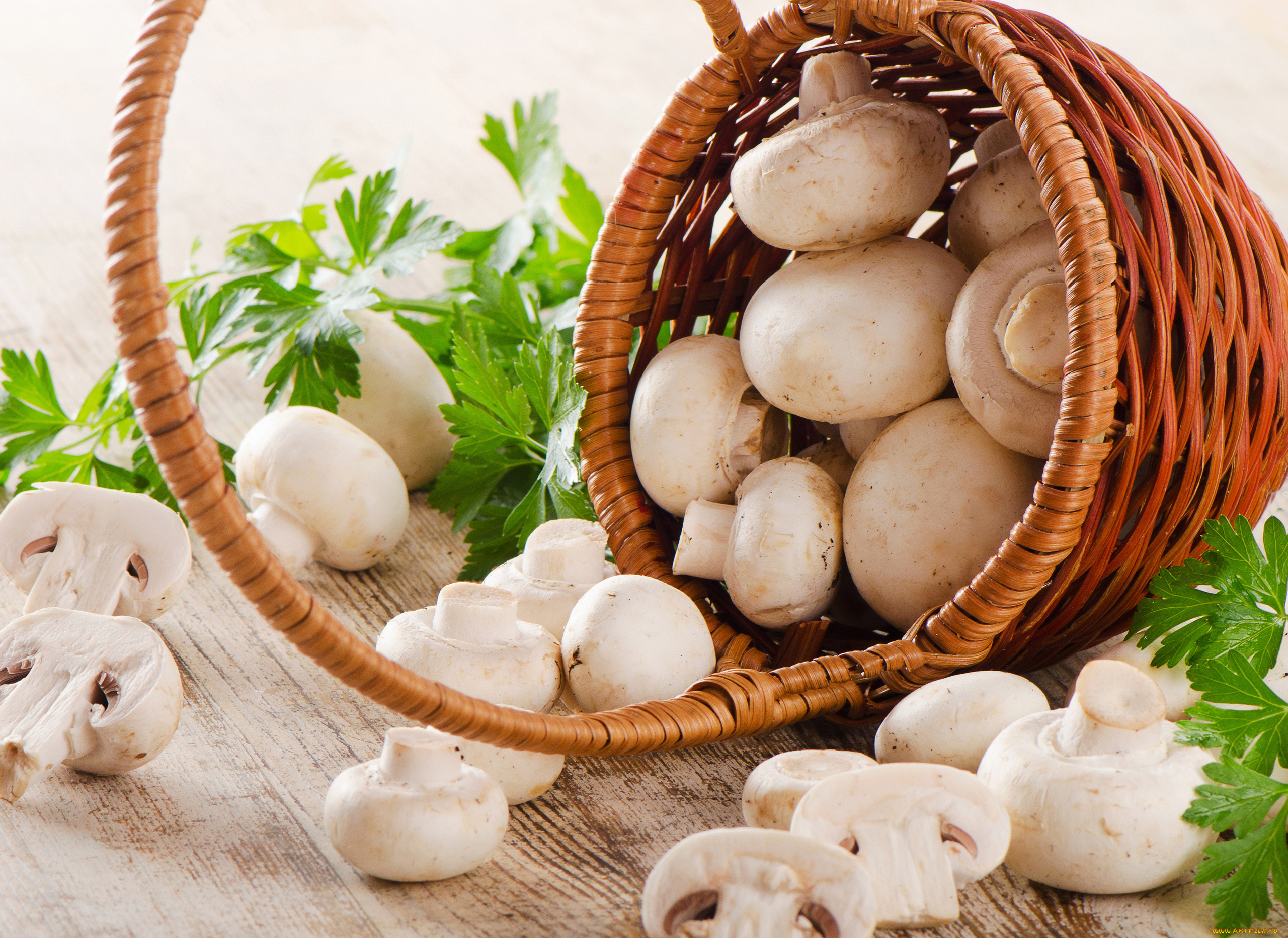 еда, грибы, , грибные, блюда, шампиньоны