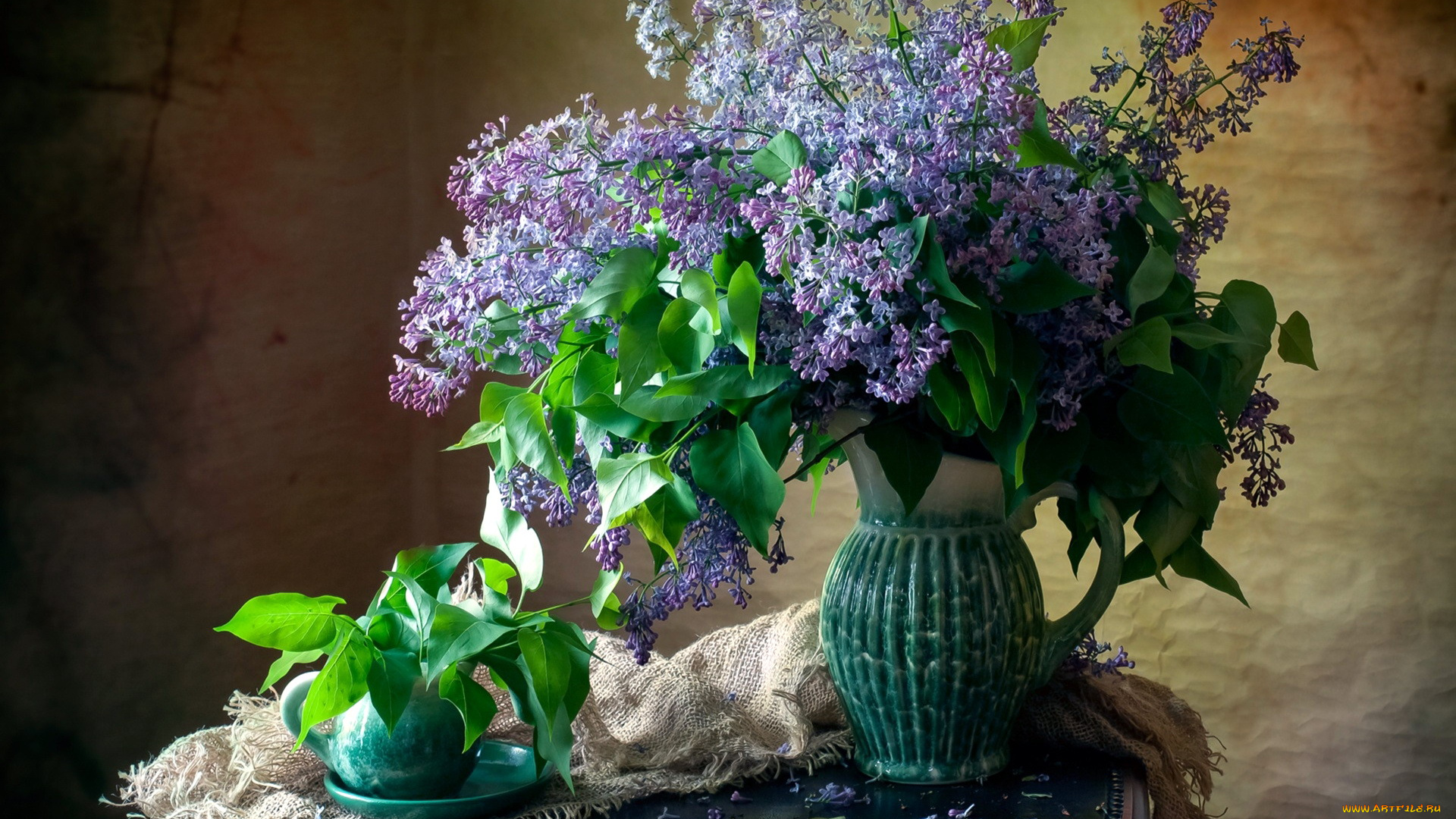 цветы, сирень, букет