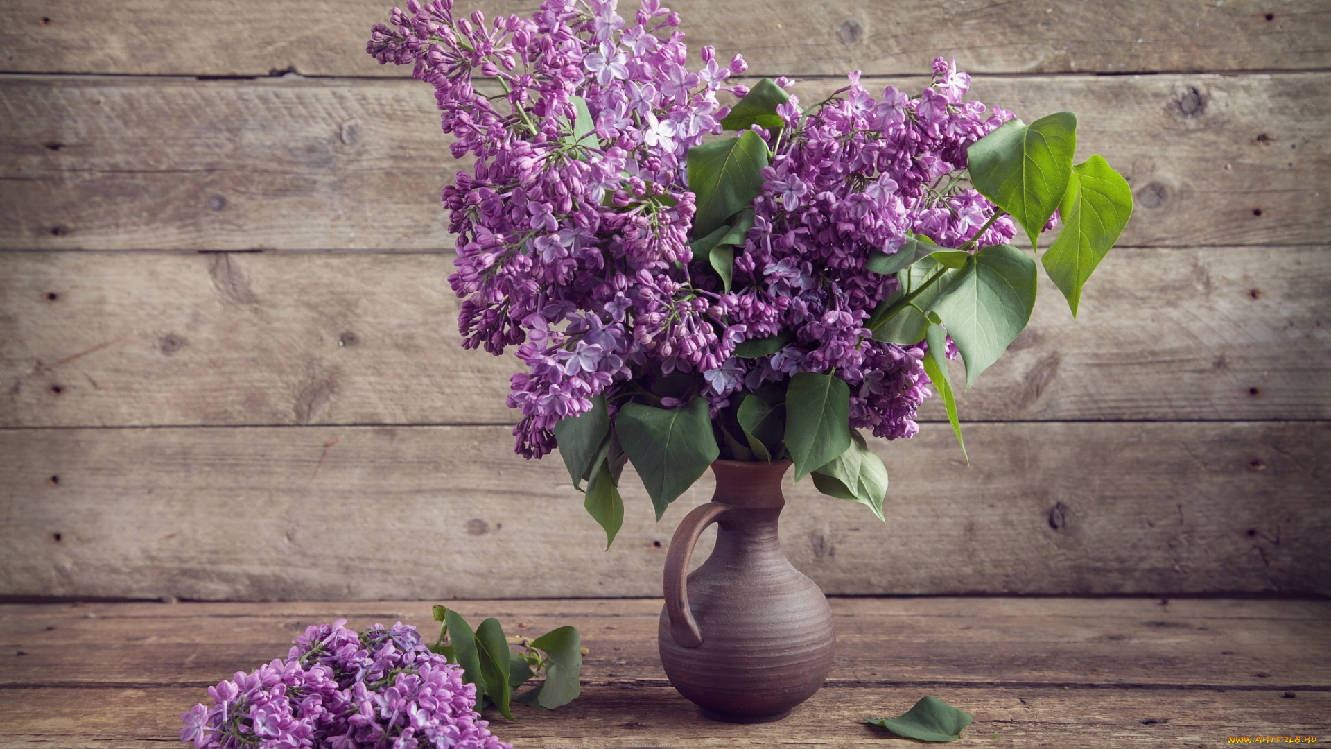 цветы, сирень, кувшин, букет