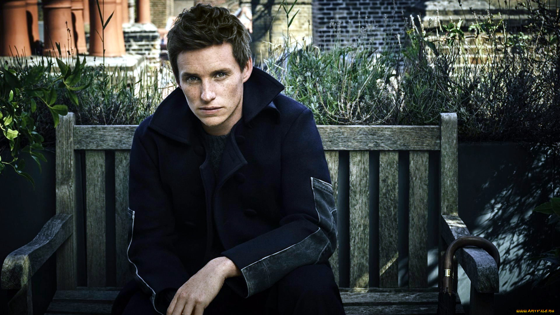 eddie, redmayne, мужчины, eddie, redmayne