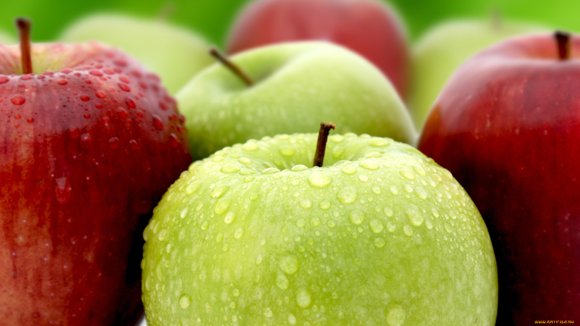 еда, яблоки, капли, макро