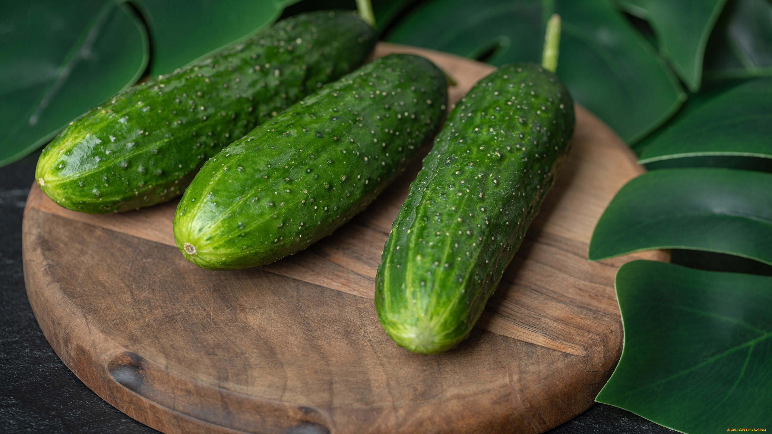 еда, огурцы, свежие, трио