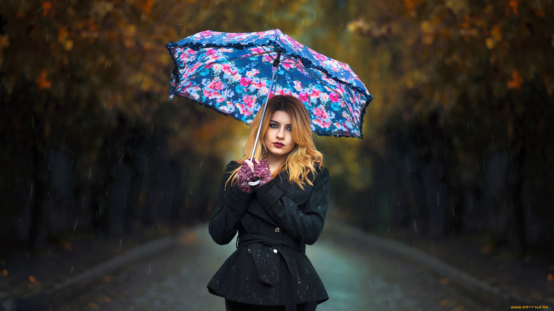 девушки, -, блондинки, , светловолосые, блондинка, пальто, зонт, дождь, аллея, дорога, деревья, осень