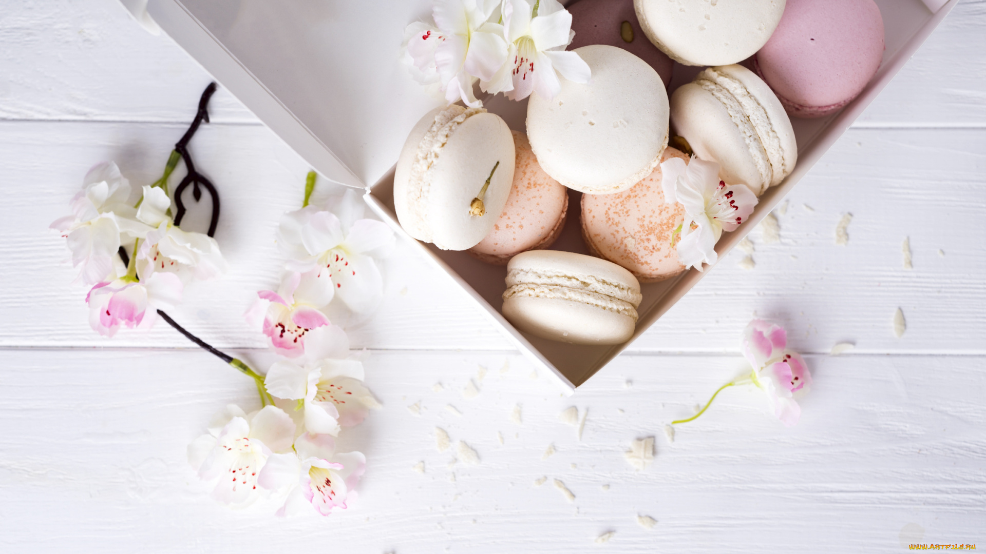 еда, макаруны, лакомство, ассорти