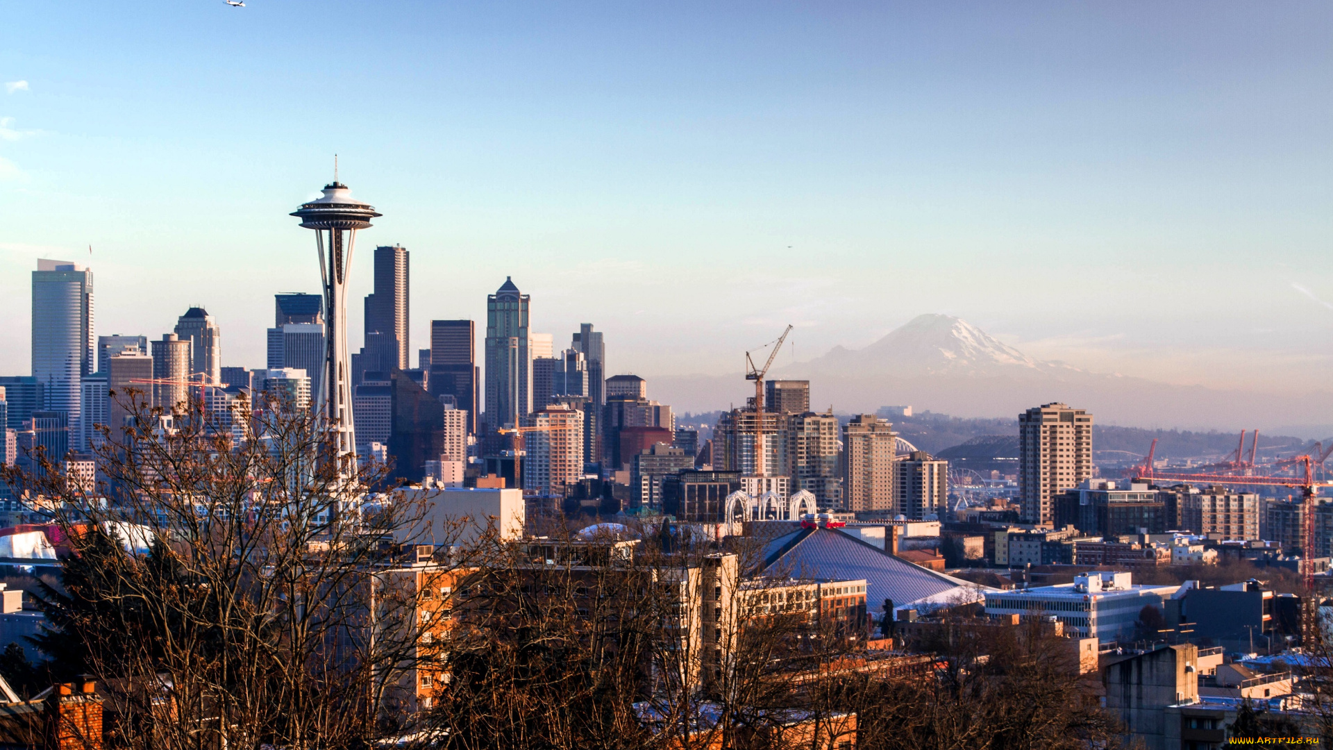 города, сиэтл, , сша, деревья, дома, здания, башня