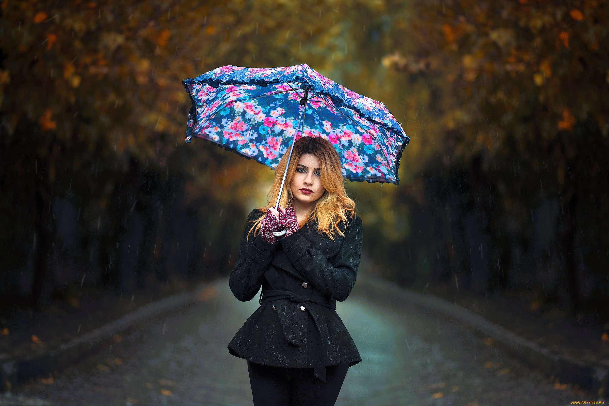 девушки, -, блондинки, , светловолосые, блондинка, пальто, зонт, дождь, аллея, дорога, деревья, осень