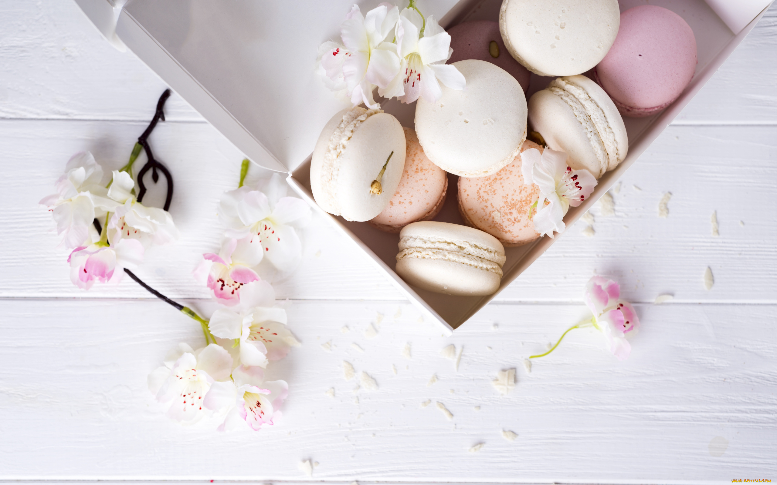 еда, макаруны, лакомство, ассорти