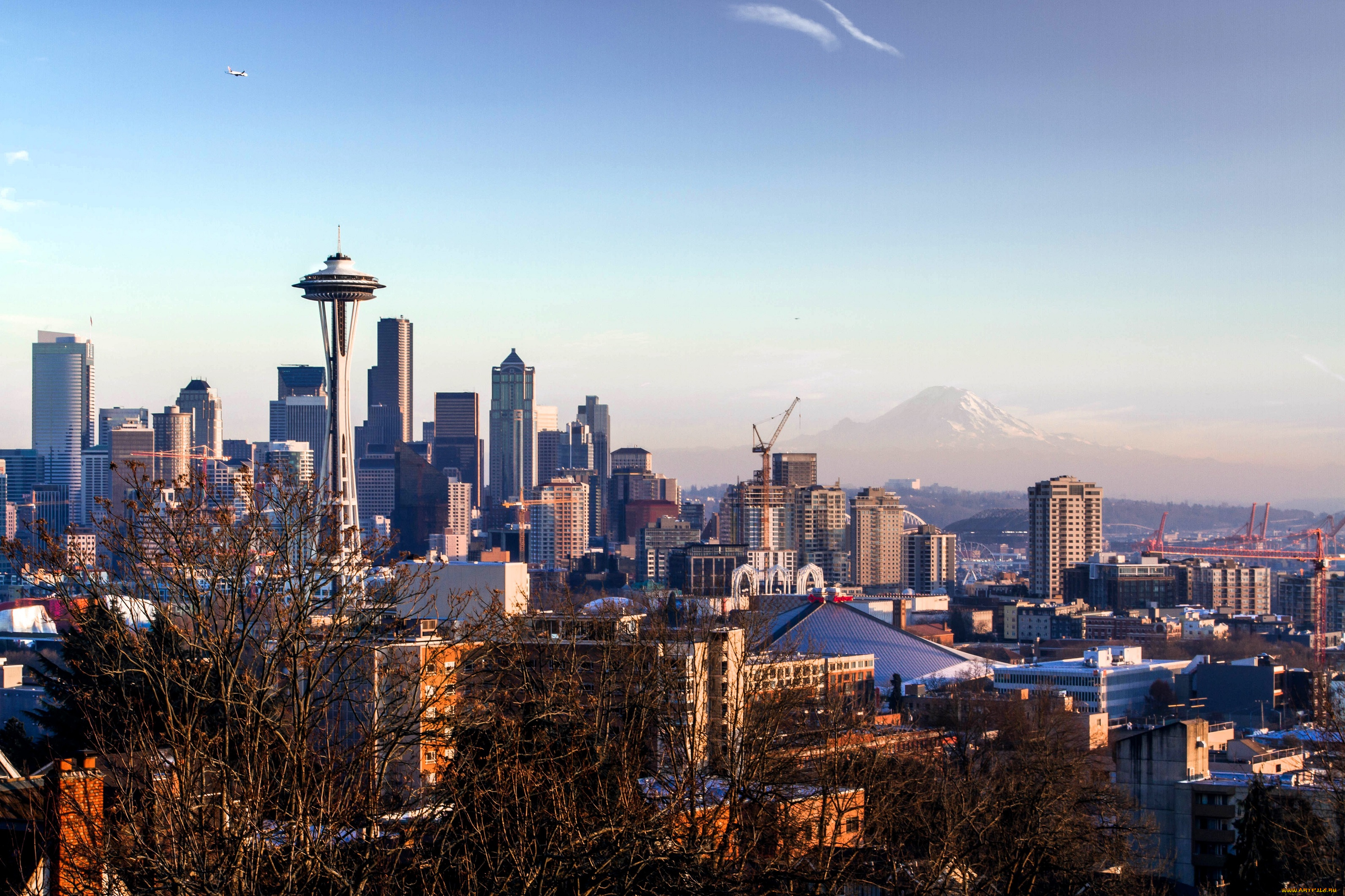 города, сиэтл, , сша, деревья, дома, здания, башня