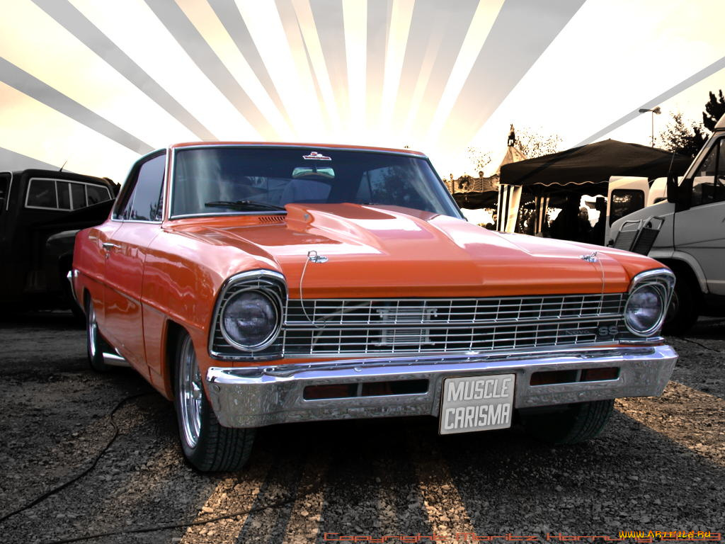 chevrolet, nova, автомобили, выставки, уличные, фото