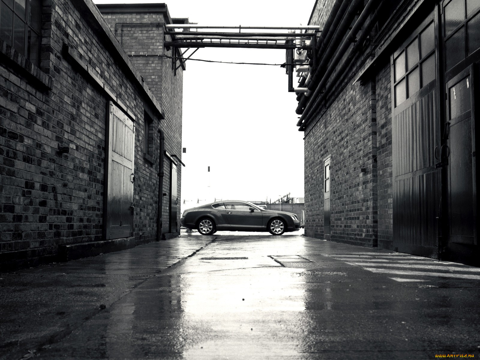 continental, автомобили, bentley