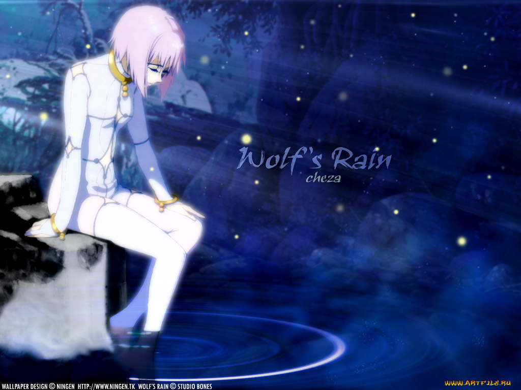 аниме, wolf`s, rain