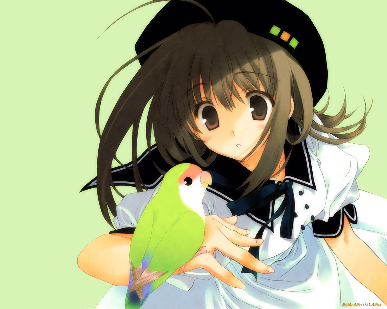 аниме, *unknown, другое