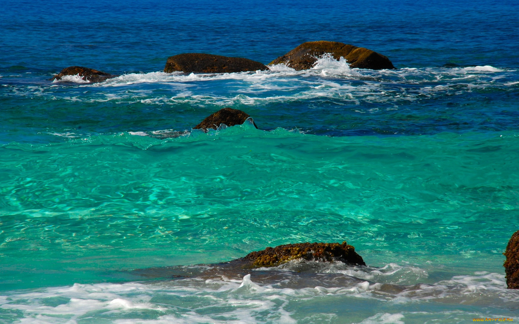 природа, моря, океаны