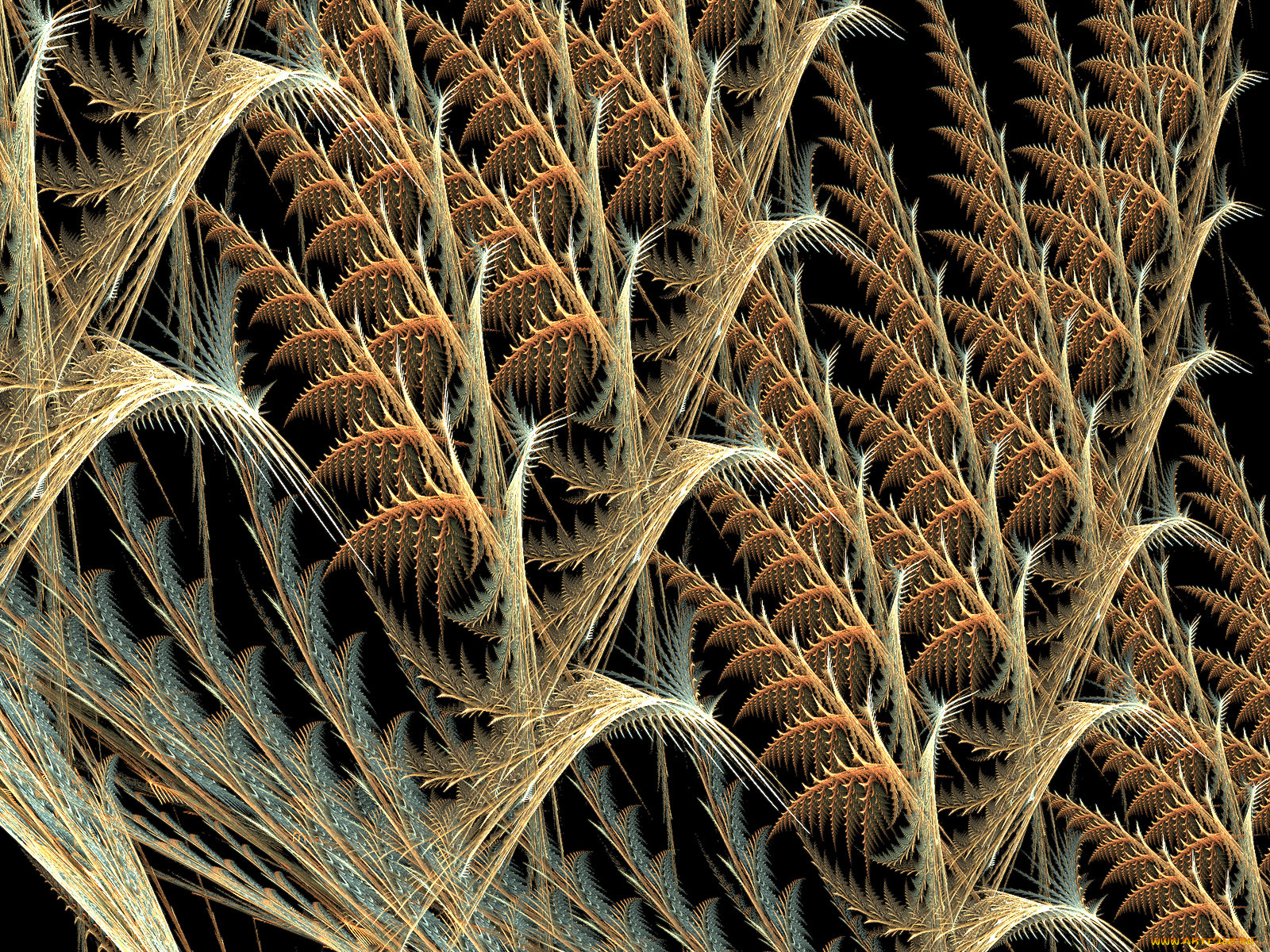 3д, графика, fractal, фракталы, абстракция, узор