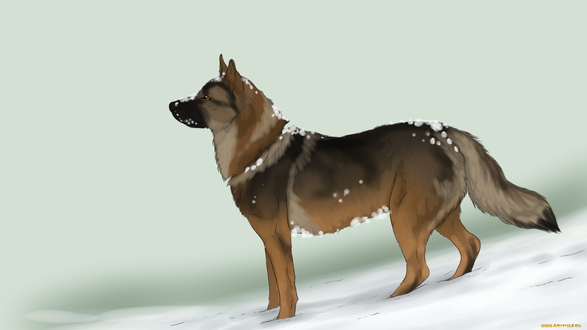 рисованные, животные, собаки, собака