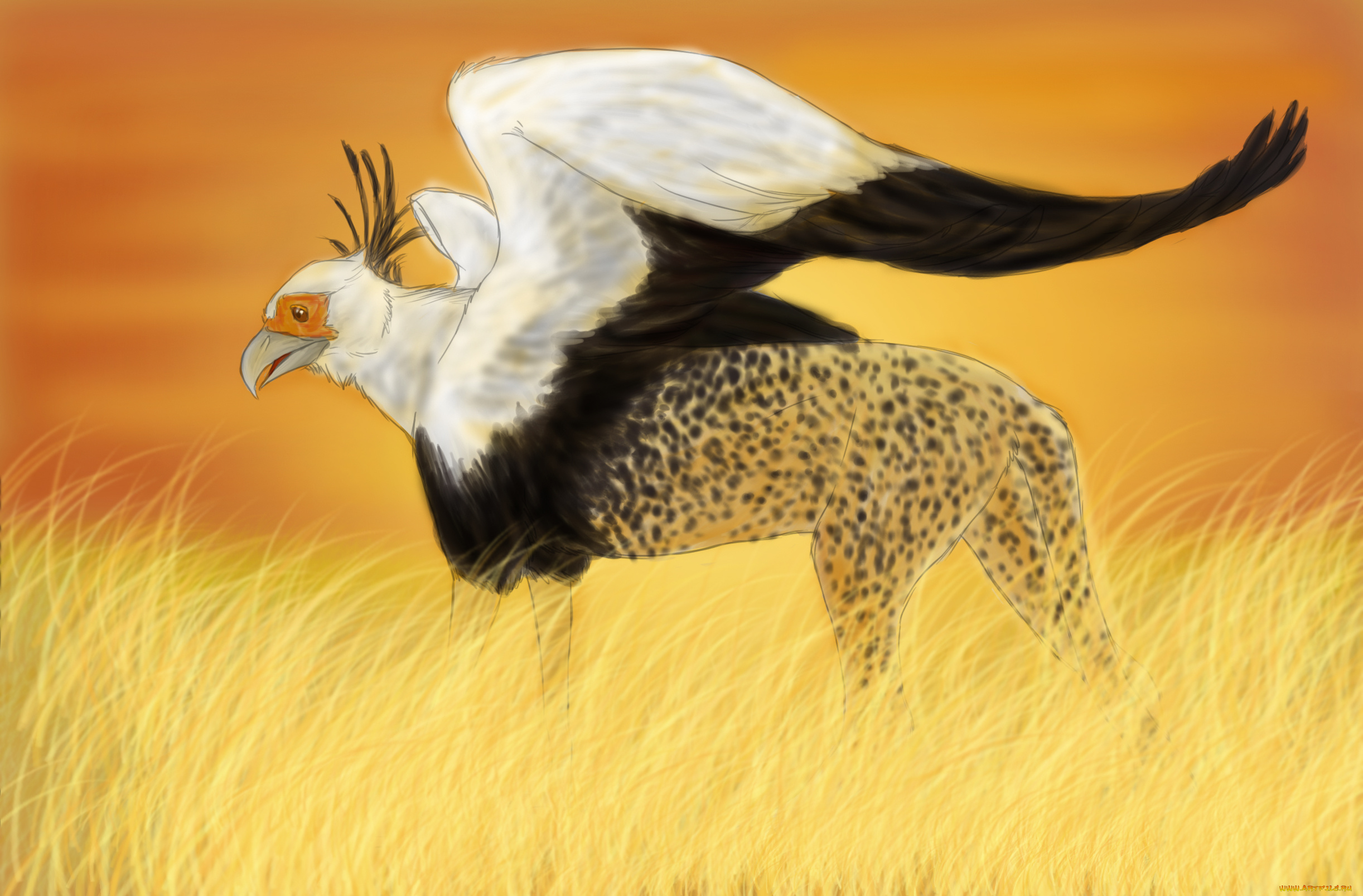 рисованные, животные, сказочные, мифические, леопард, орел, трава