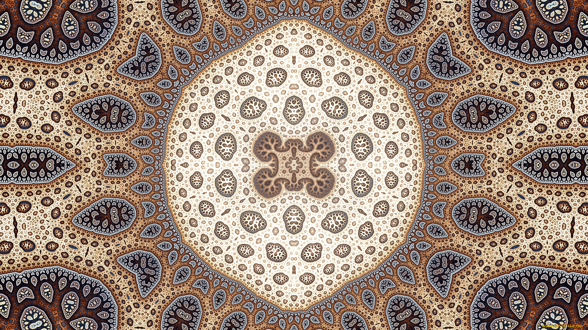 3д, графика, фракталы, , fractal, узор, фон, цвета