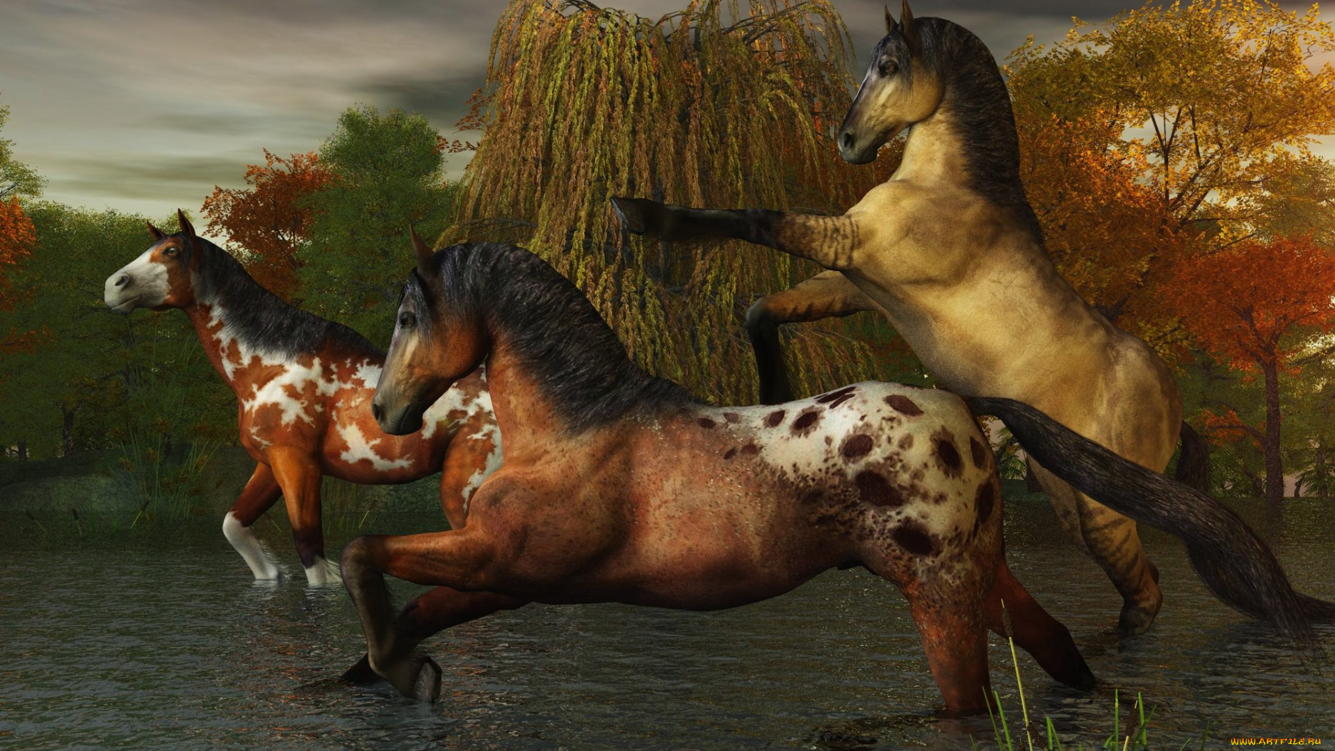 3д, графика, животные, , animals, лошади, брызги