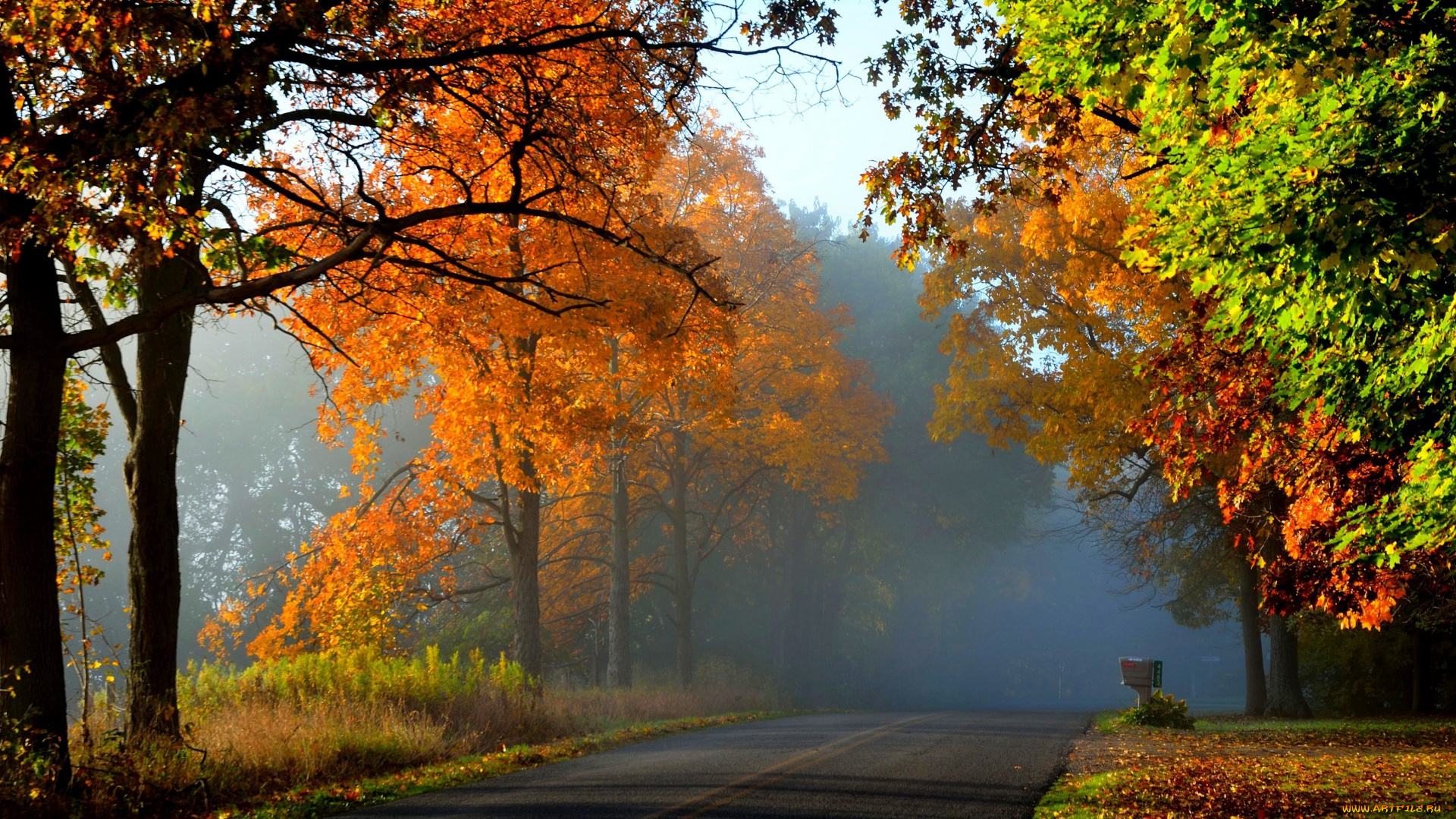 природа, дороги, nature, forest, park, trees, leaves, colorful, road, path, autumn, fall, colors, walk, листья, осень, деревья, дорога, лес, парк