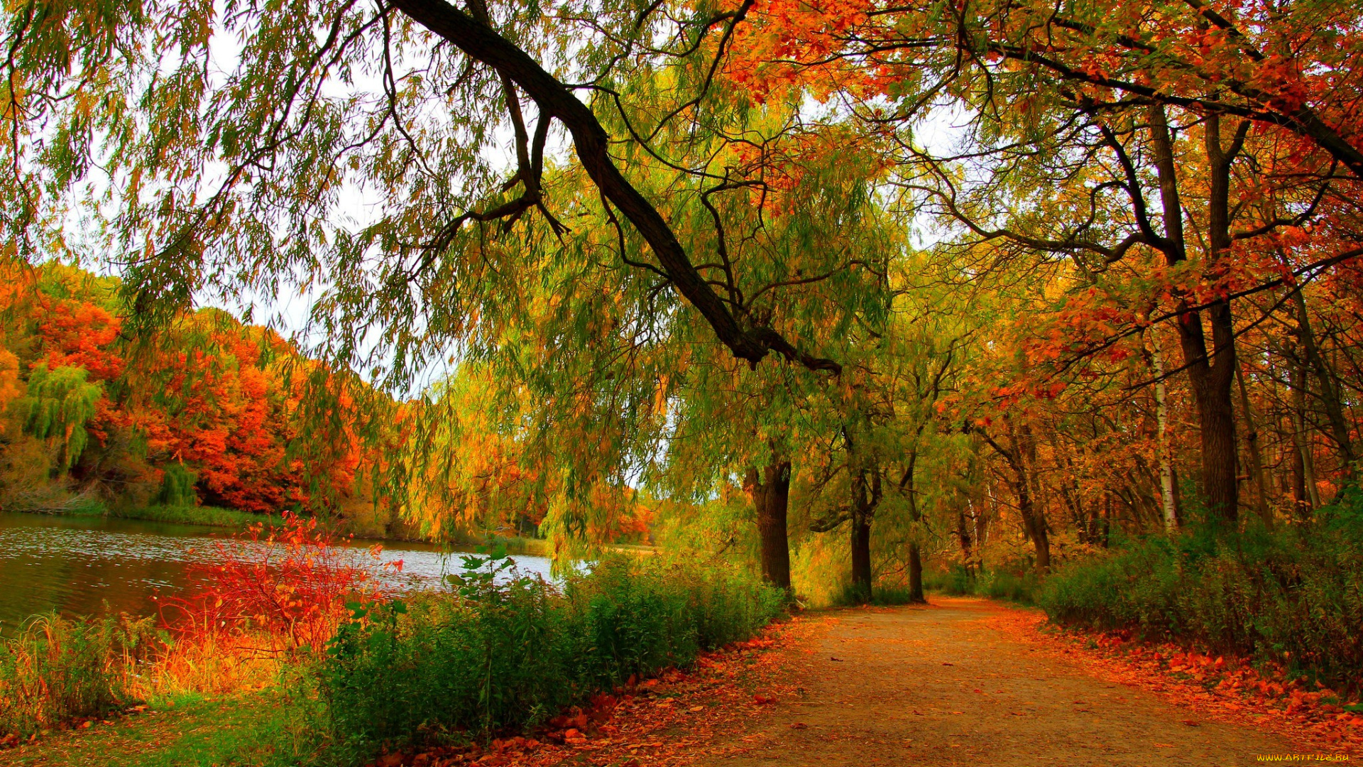 природа, дороги, river, landscape, scenery, view, autumn, осен, деревья, лес, trees, forest, nature, пейзаж