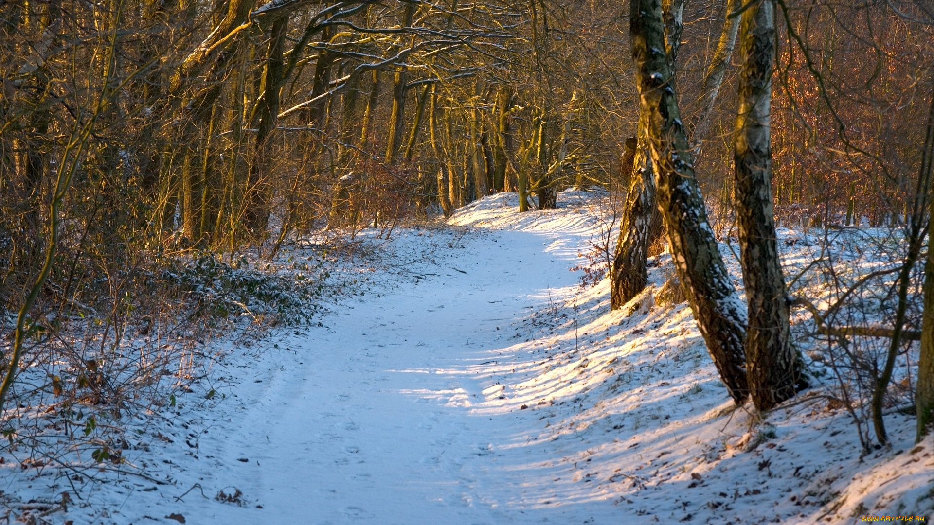 природа, дороги, снег, деревья