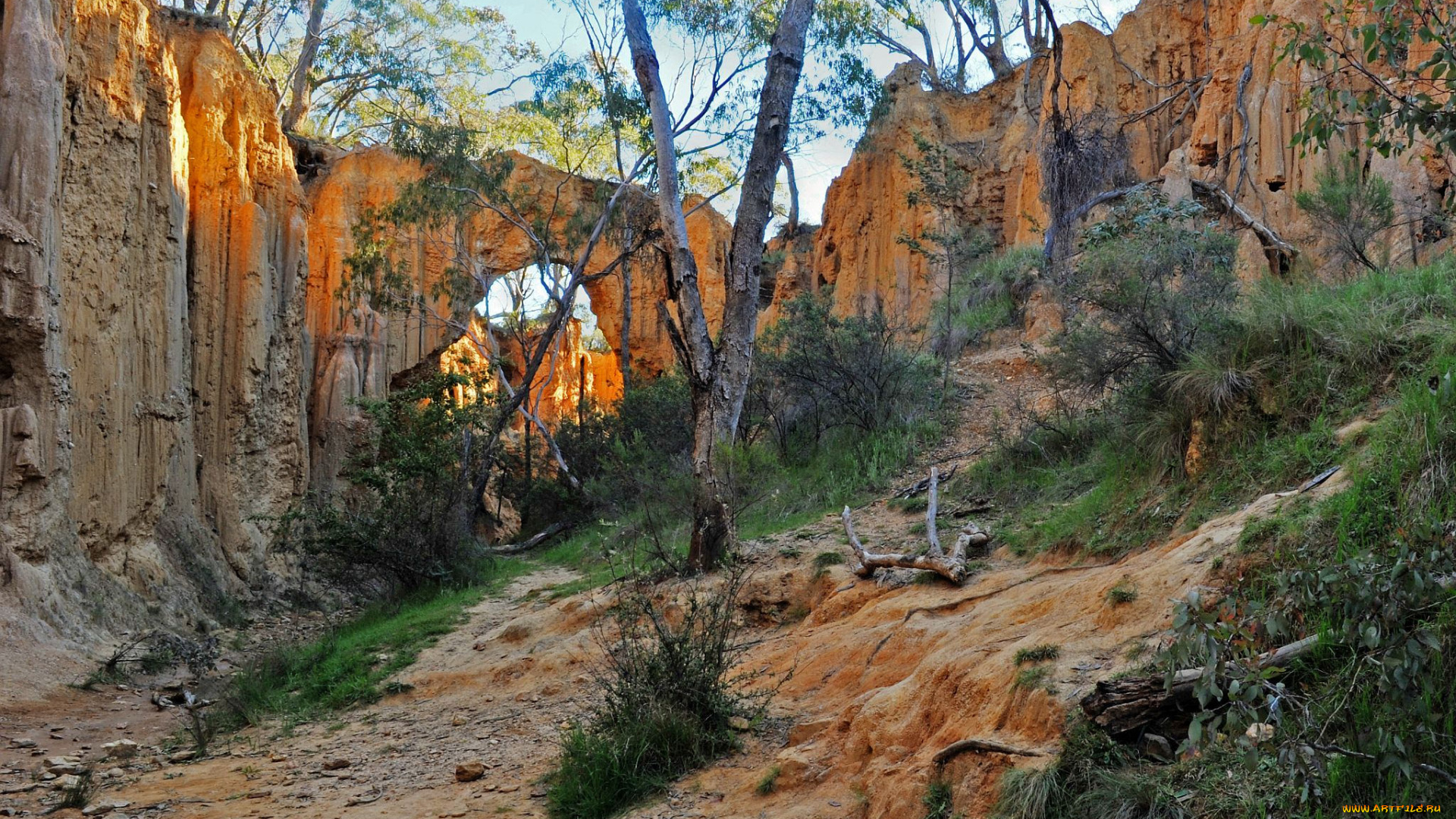 природа, горы, скалы, арка, деревья