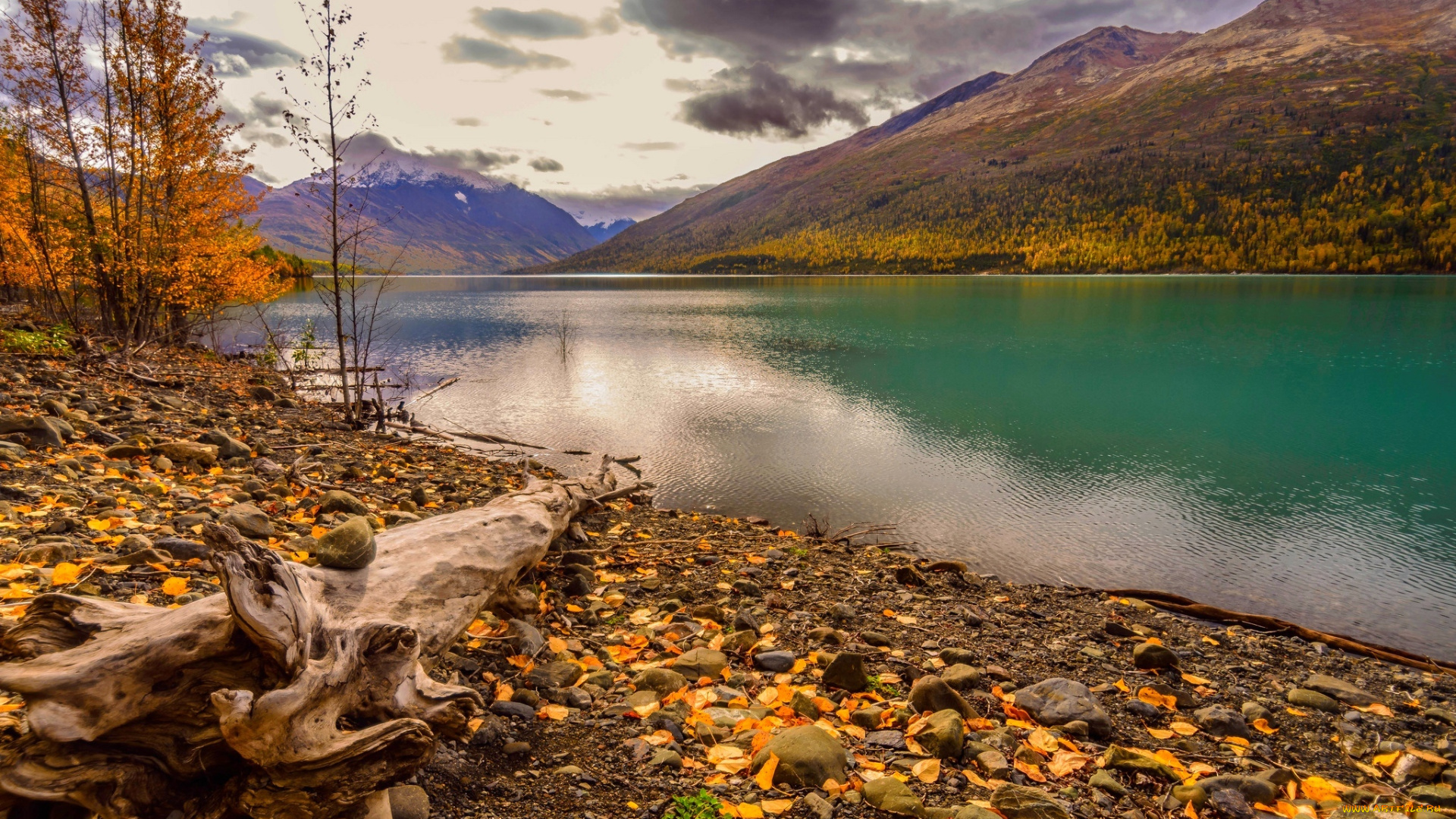 природа, реки, озера, clouds, sky, mountains, nature, деревья, облака, река, вода, осень, листья, walk, colors, fall, autumn, water, forest, park, trees, leaves, colorful, небо, горы, парк, лес, river