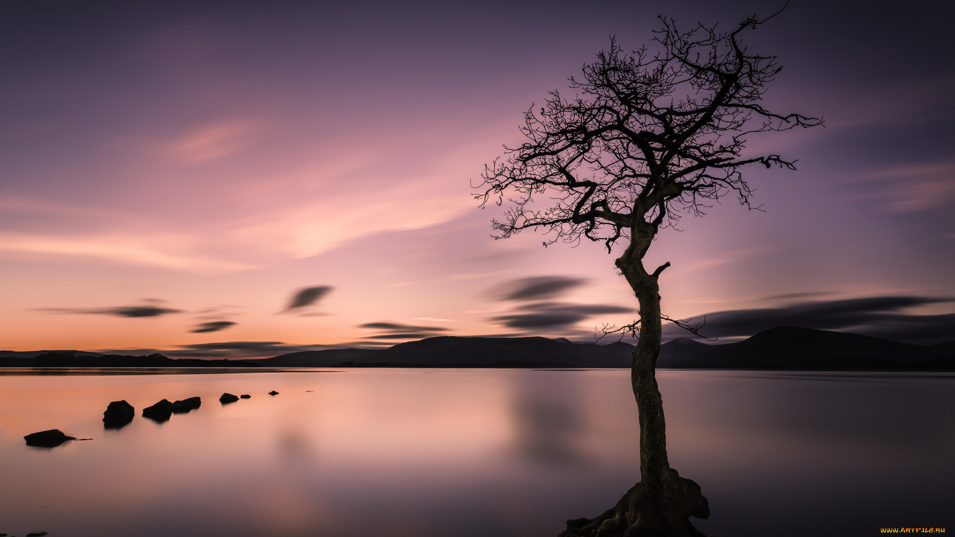 природа, реки, озера, дерево, вода, озеро, закат, небо, облака