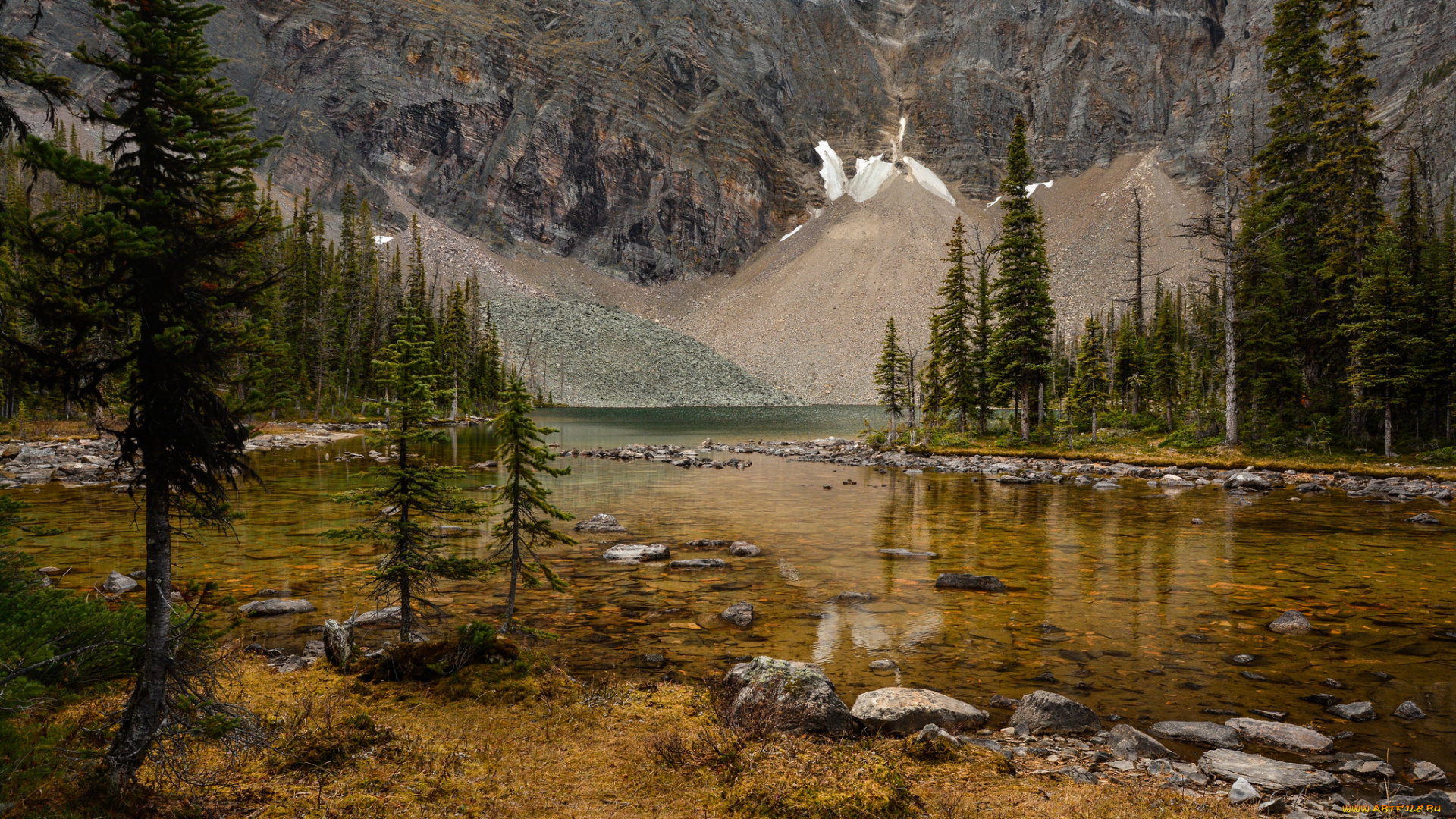 природа, реки, озера, озеро, лес, горы