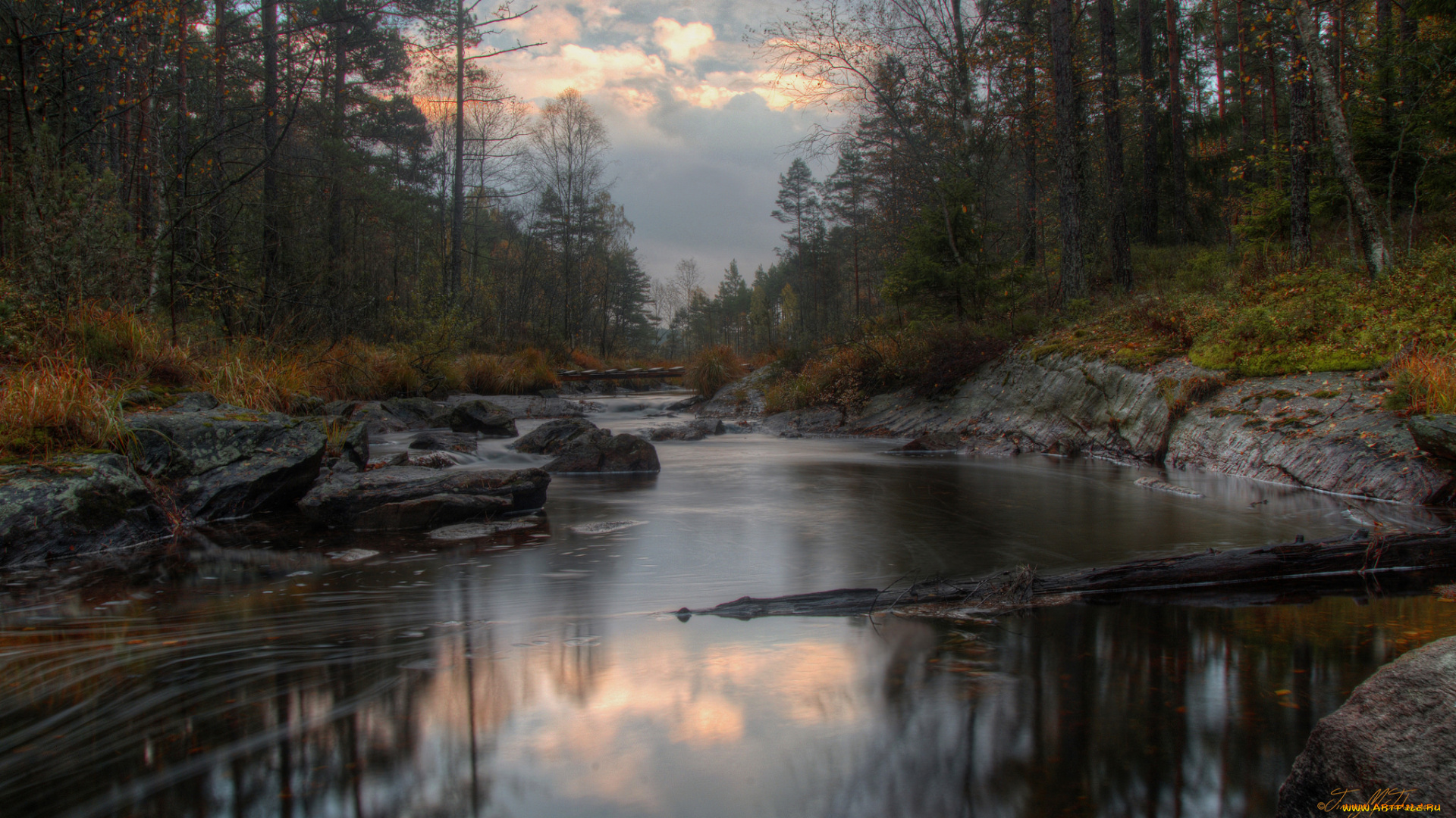 природа, реки, озера, река, лес, отражение, деревья