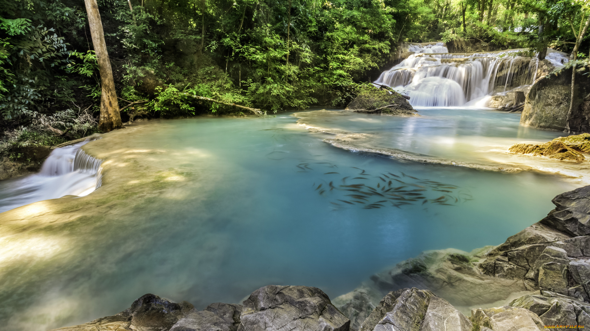 природа, водопады, лес, река, водопад