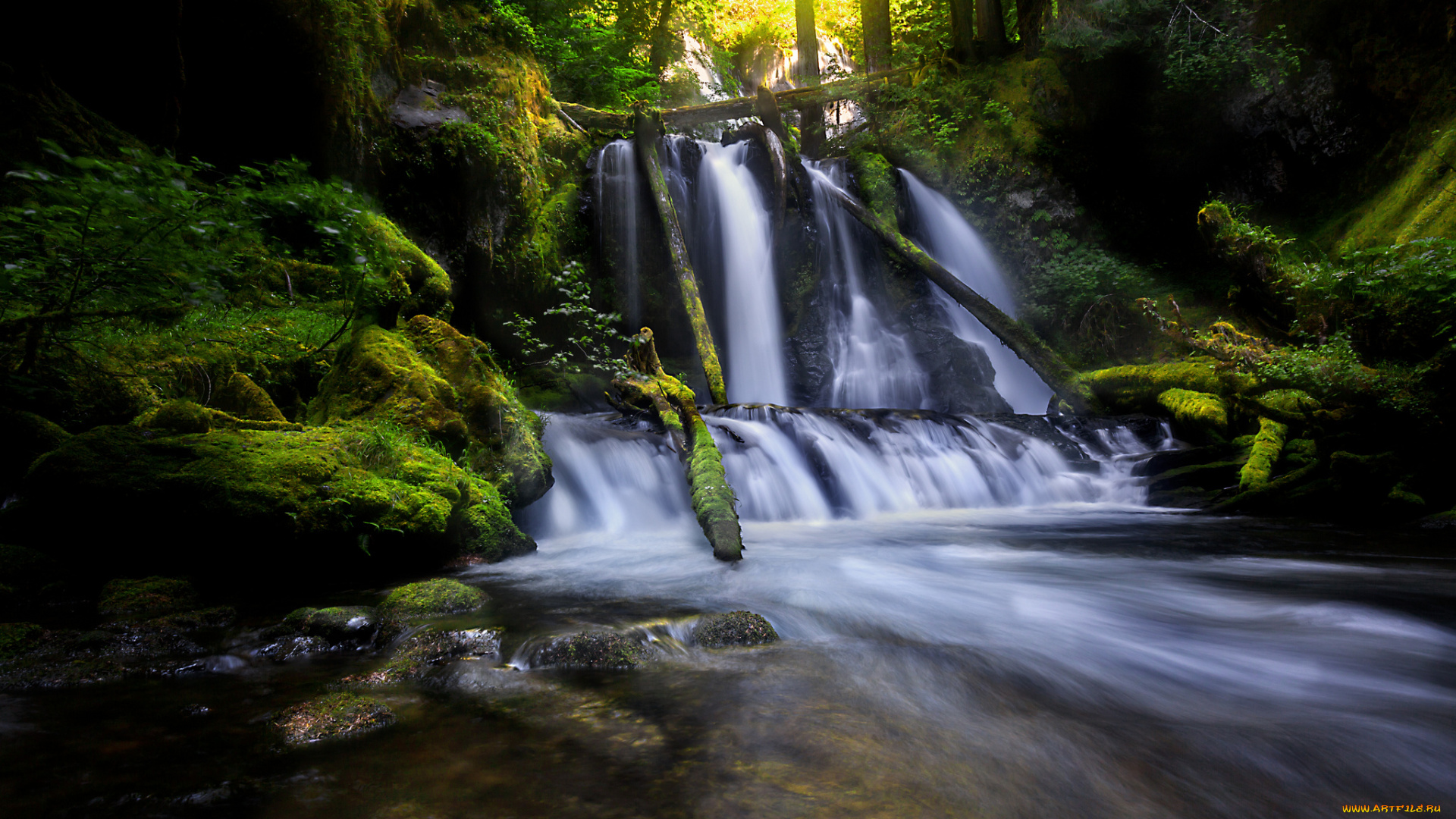 природа, водопады, лес, река, водопад