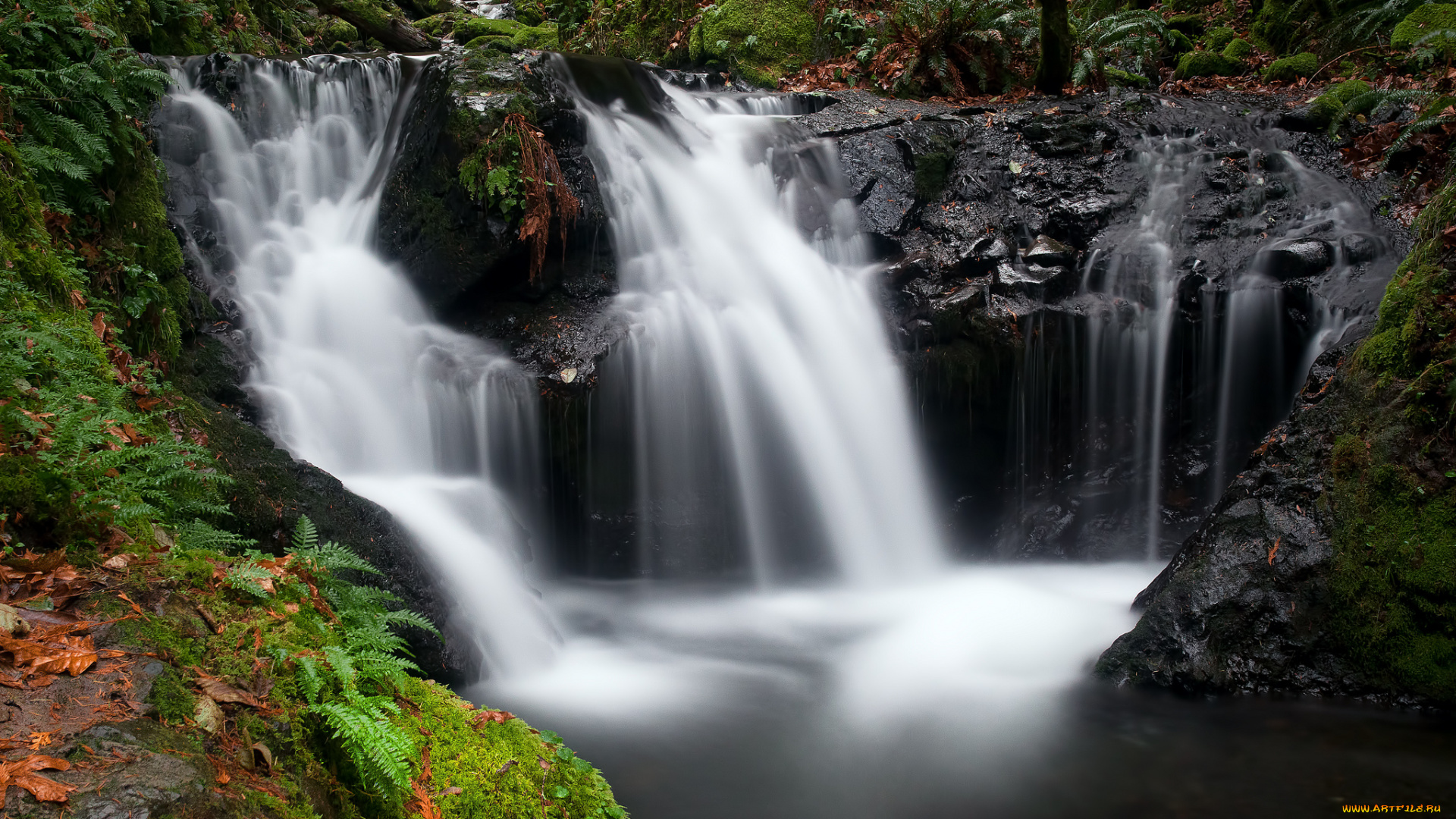 природа, водопады, лес, река, водопад
