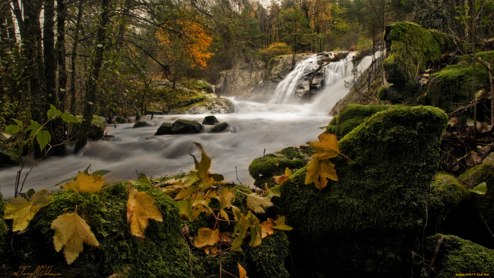природа, водопады, лес, водопад, вода, мох, деревья, камни, листья, поток