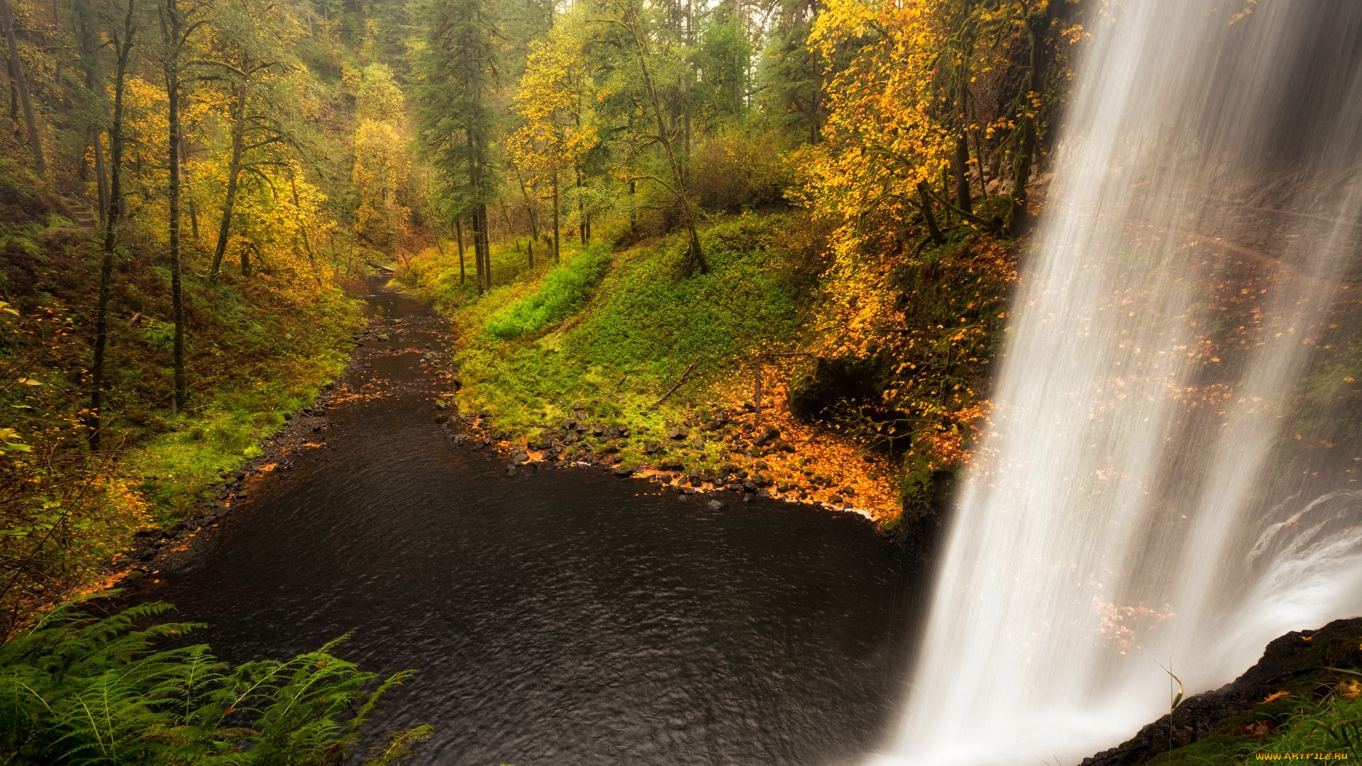 природа, водопады, пейзаж, лес, водопад, вода, деревья, осен, nature, river, landscape, forest, trees, autumn, scenery, view, waterfall, water