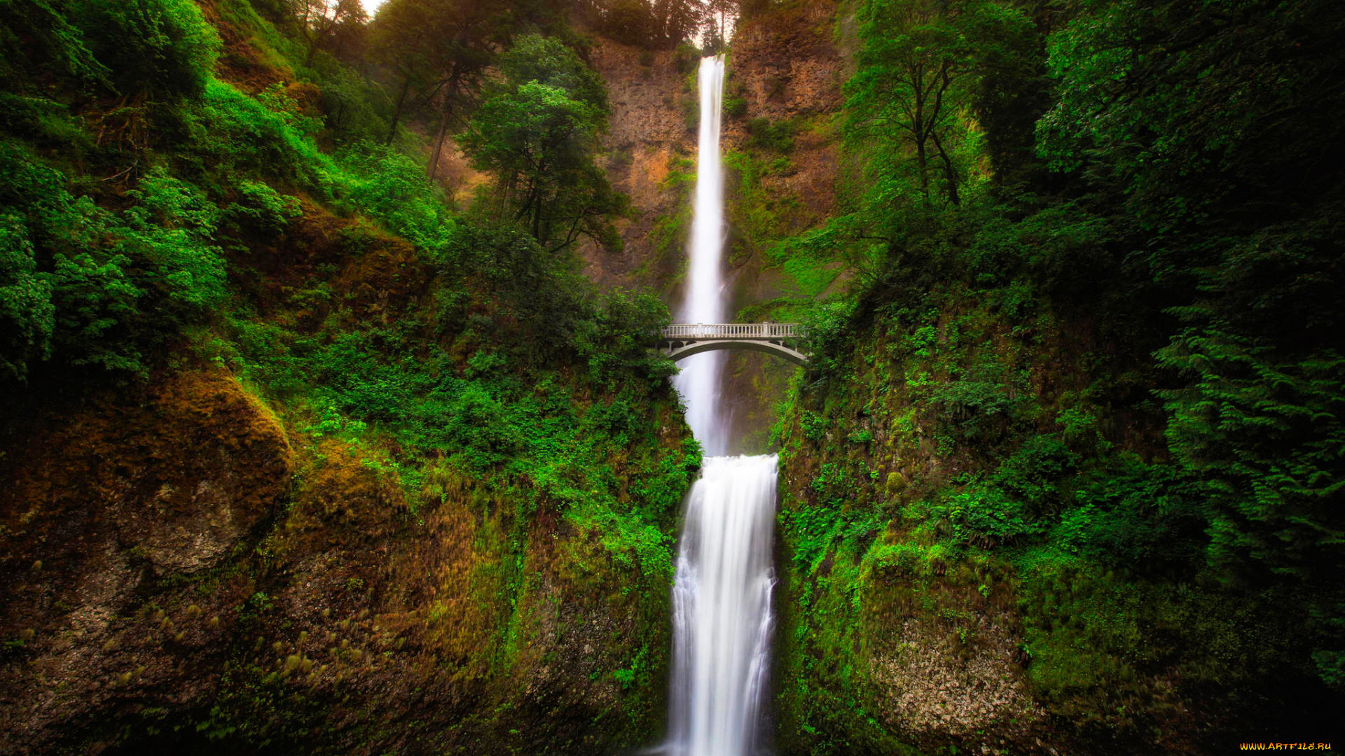 природа, водопады, пейзаж, мост, multnomah, usa, oregon, деревья, зелень, орегон, ущелье, скала, поток, малтнома, река, водопад