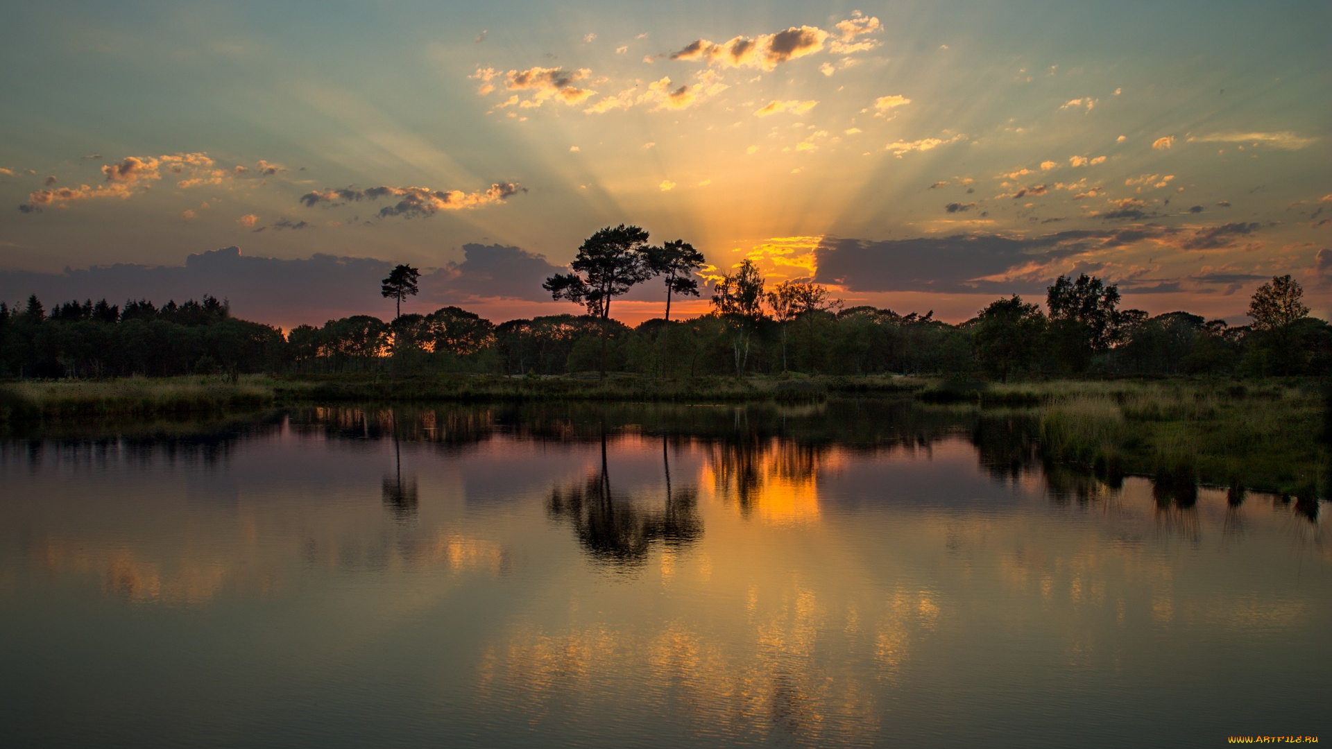 природа, восходы, закаты, лето, закат, озеро, деревья