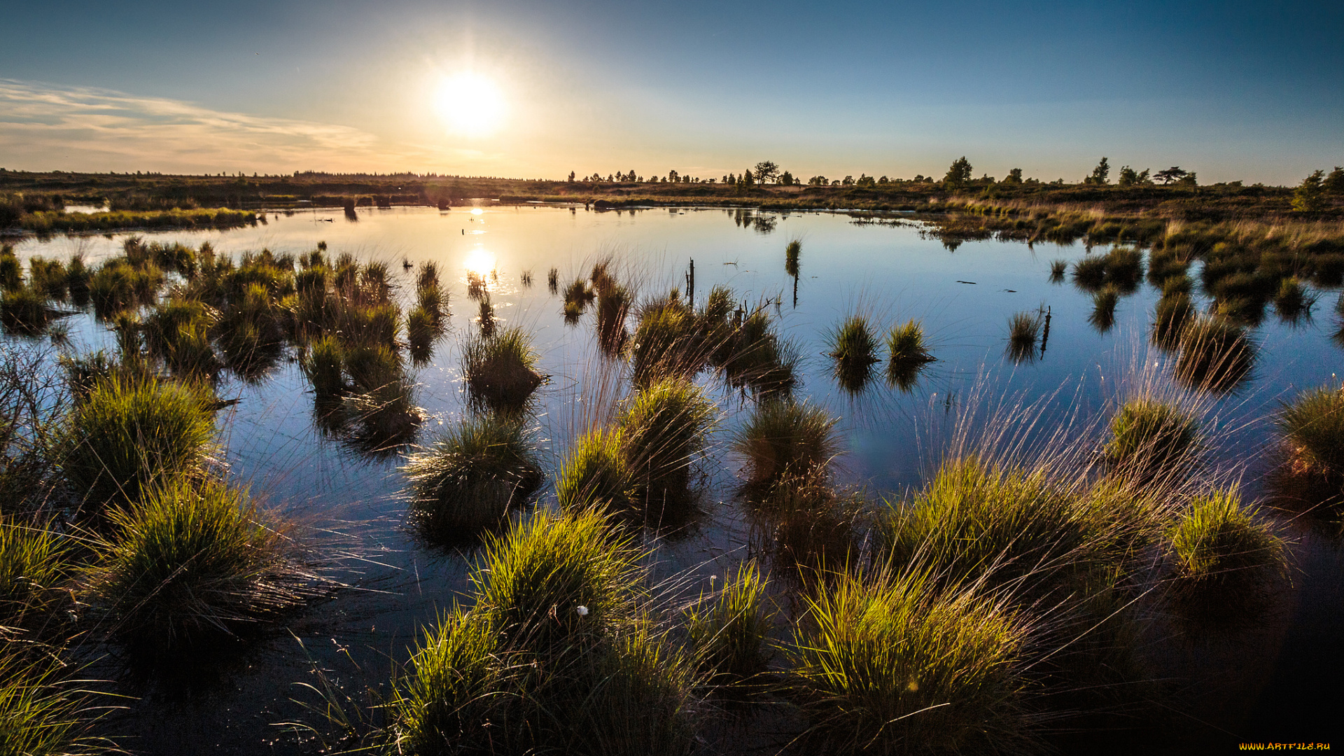 природа, восходы, закаты, трава, горизонт, заря, река
